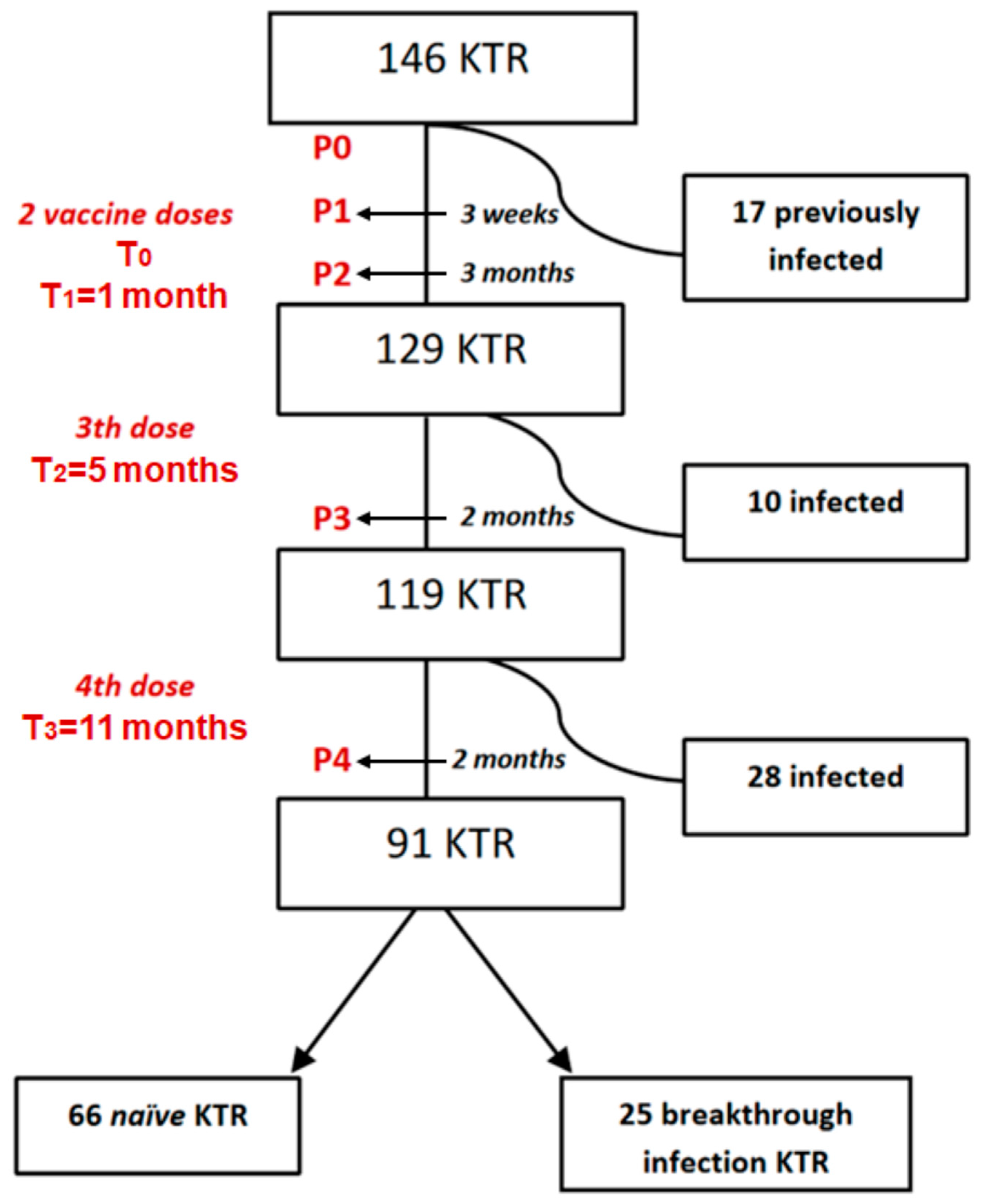 Vaccines 13 00123 g001