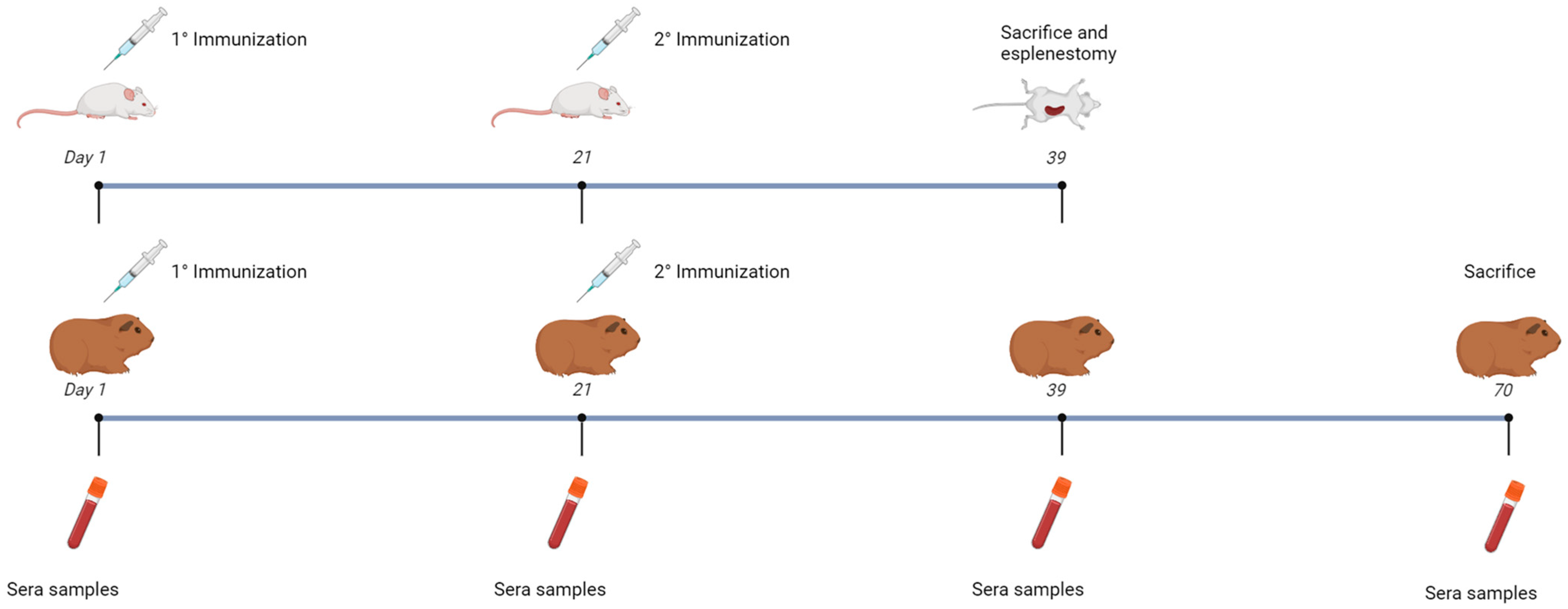 Vaccines 13 00124 g003