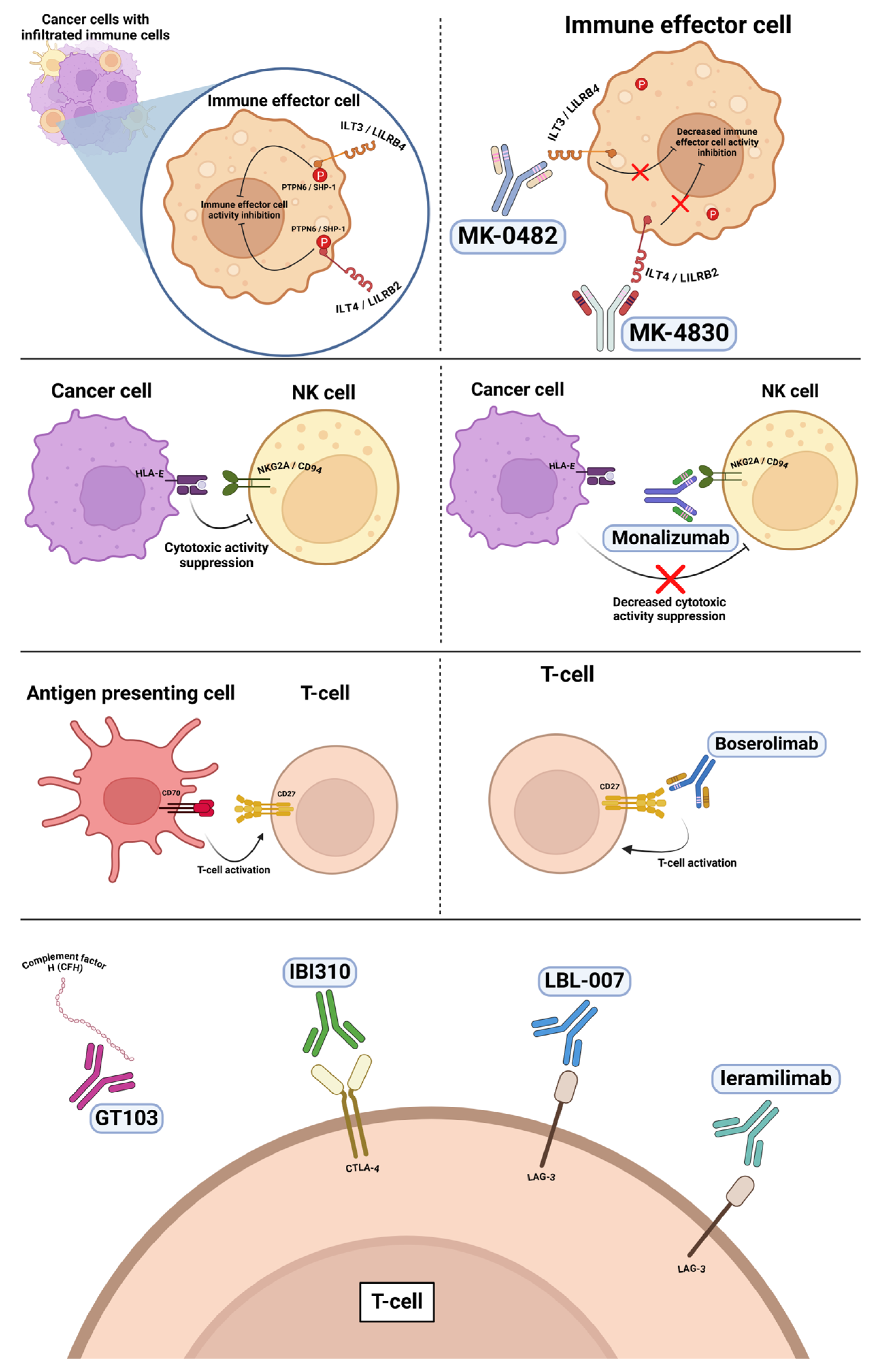 Vaccines 13 00128 g004