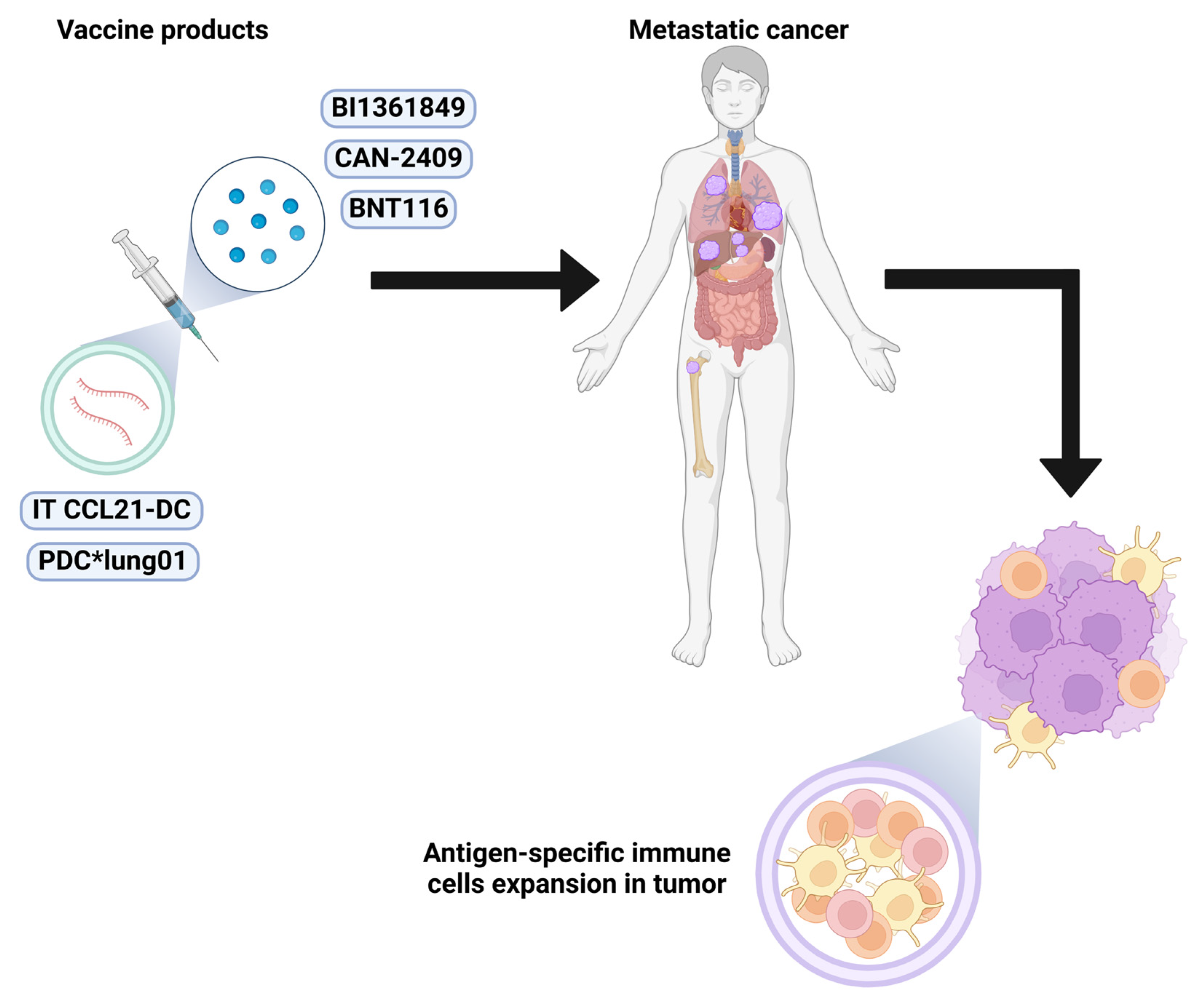Vaccines 13 00128 g005