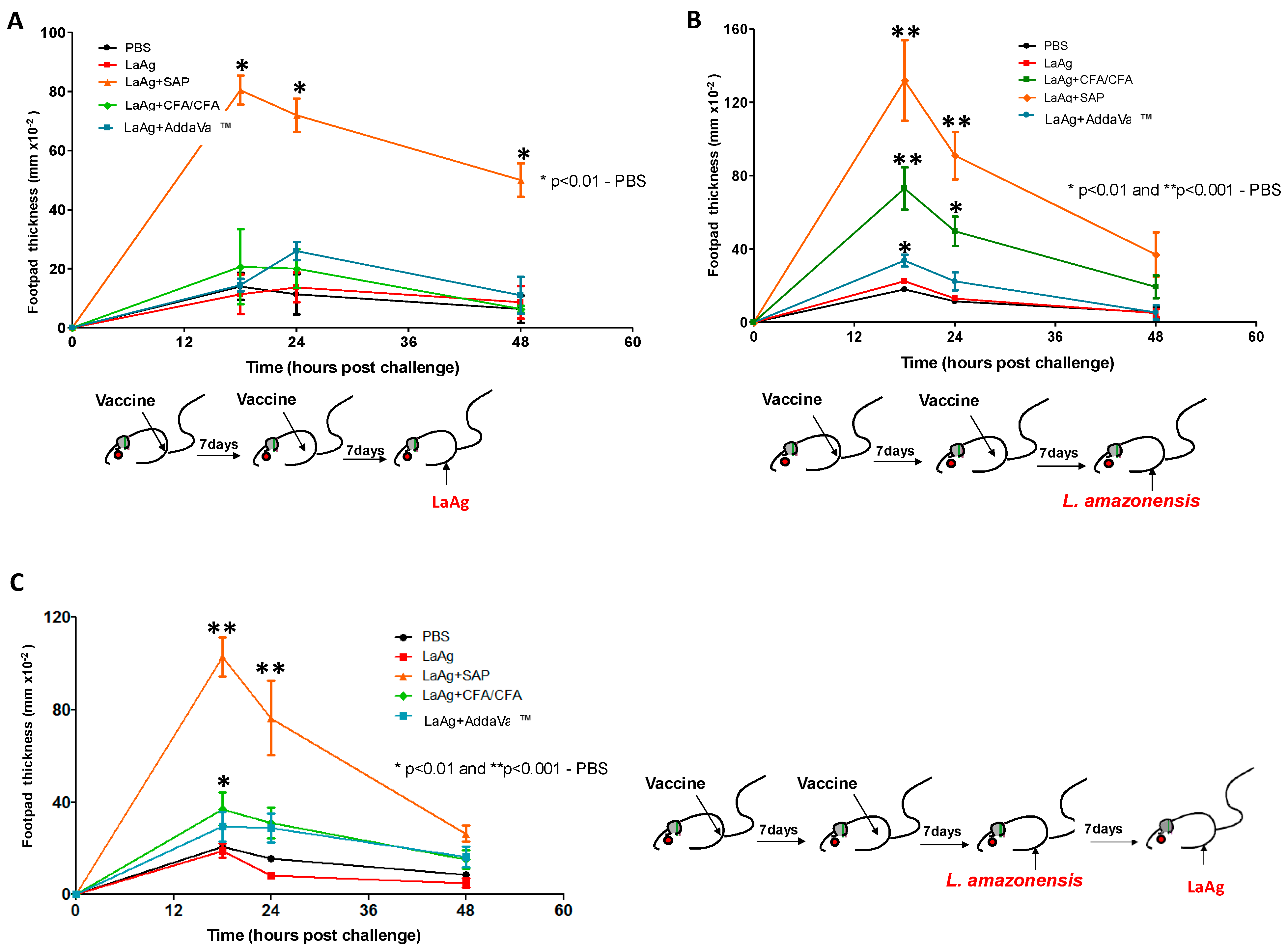 Vaccines 13 00129 g001
