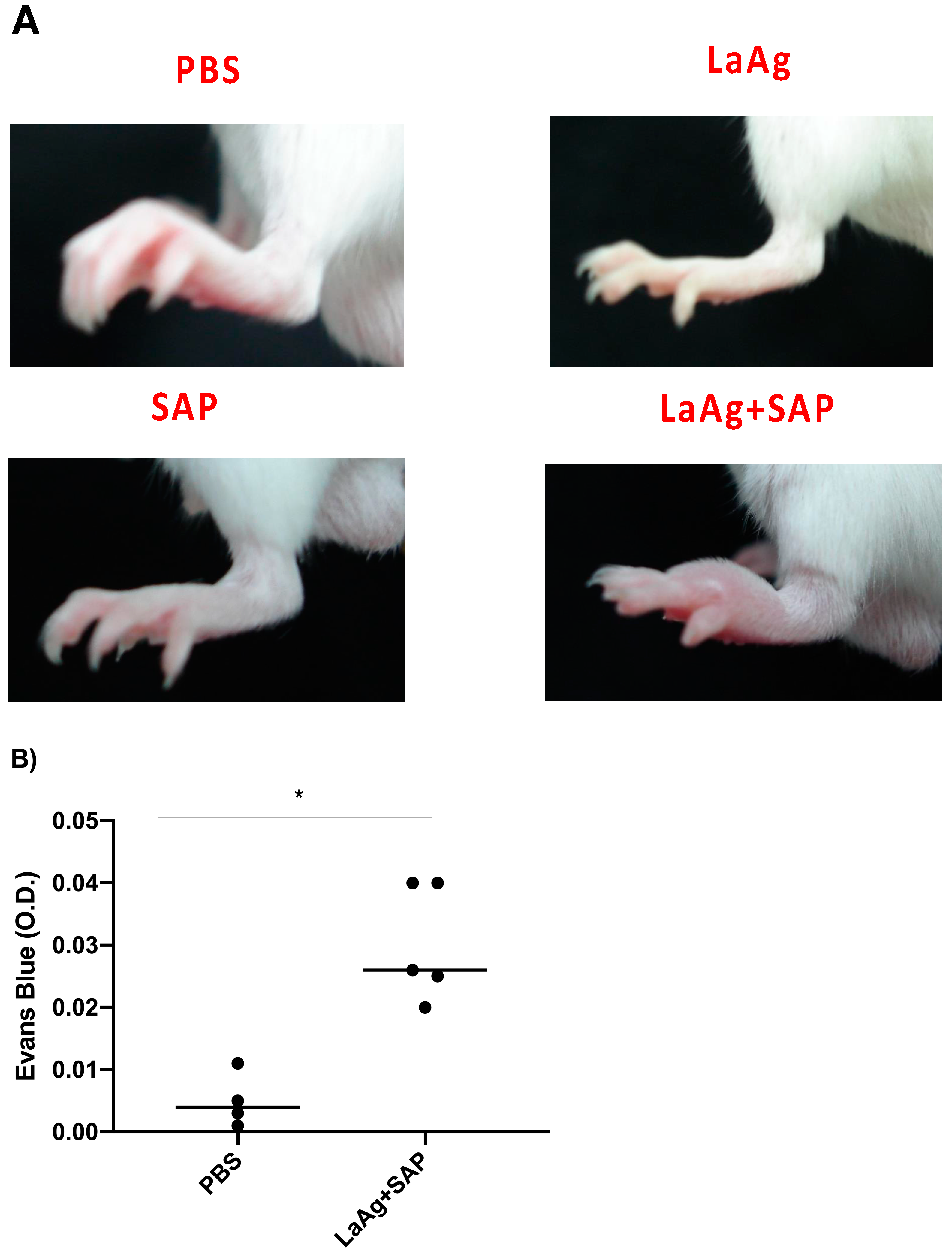 Vaccines 13 00129 g004