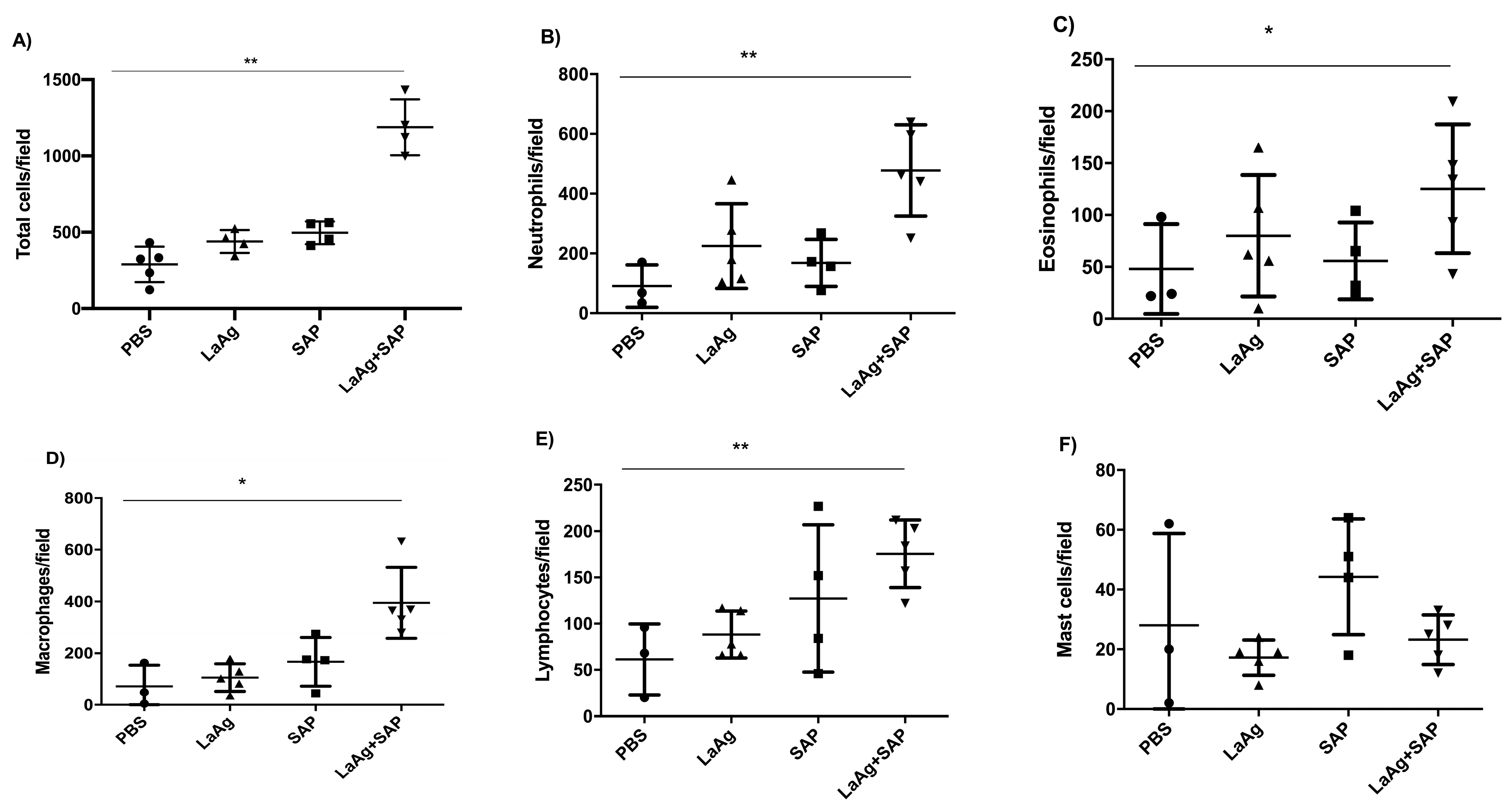 Vaccines 13 00129 g005
