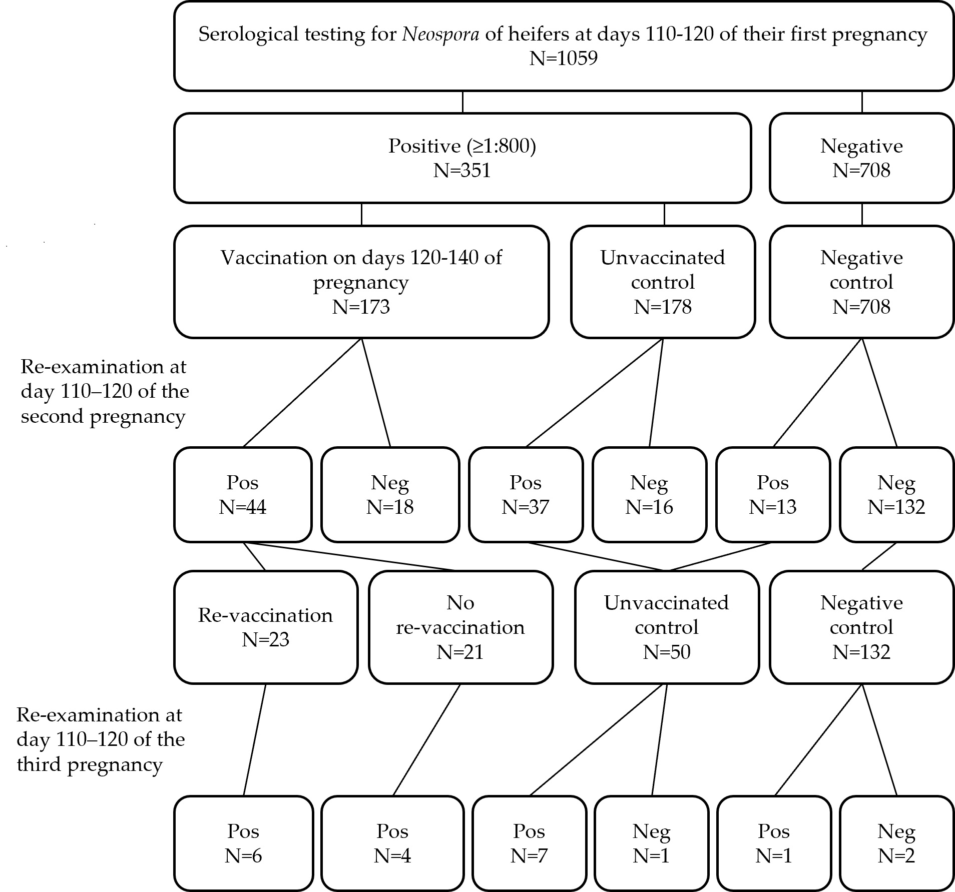 Vaccines 13 00131 g001