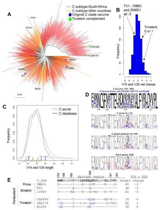 Vaccines 13 00133 g001