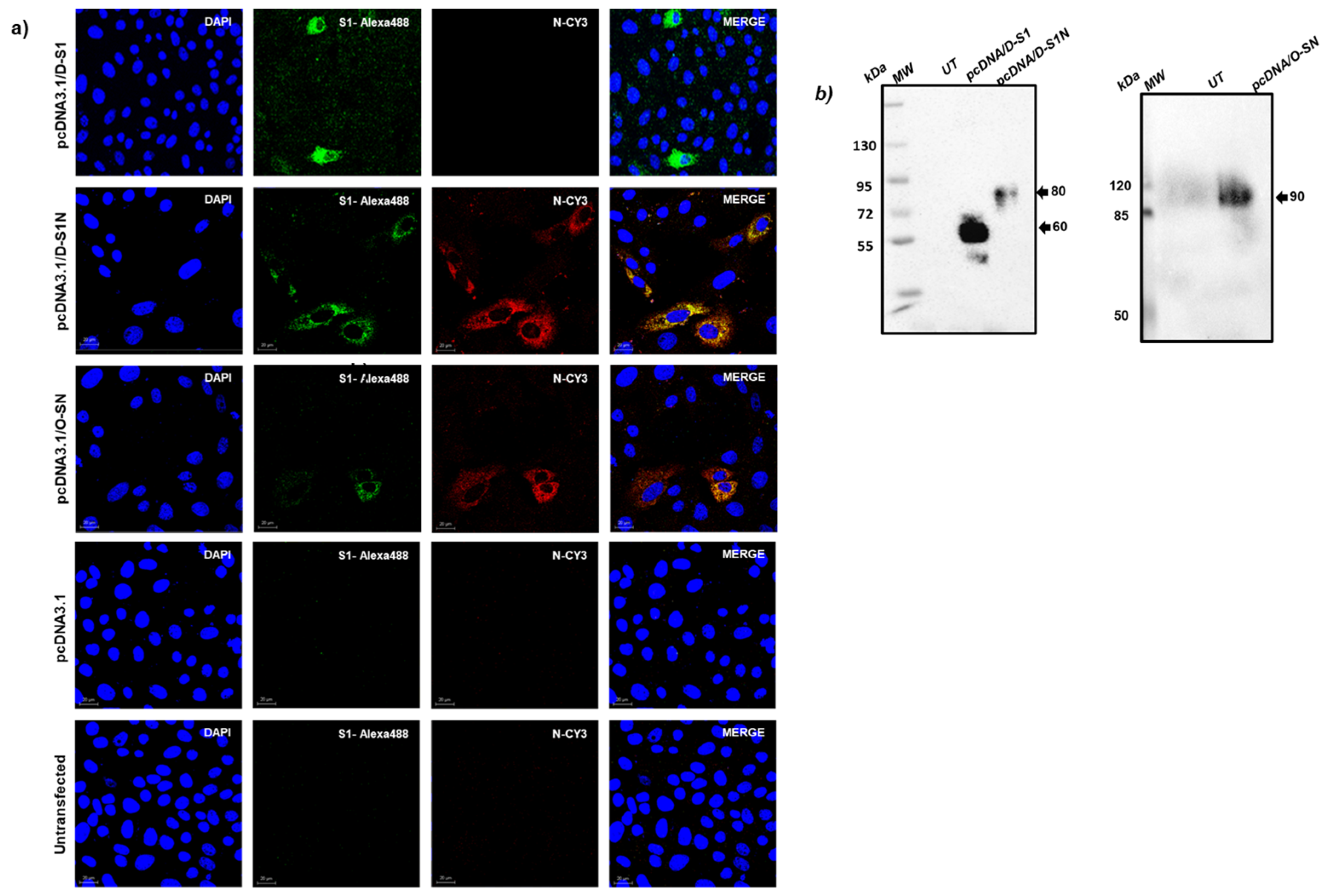 Vaccines 13 00134 g002