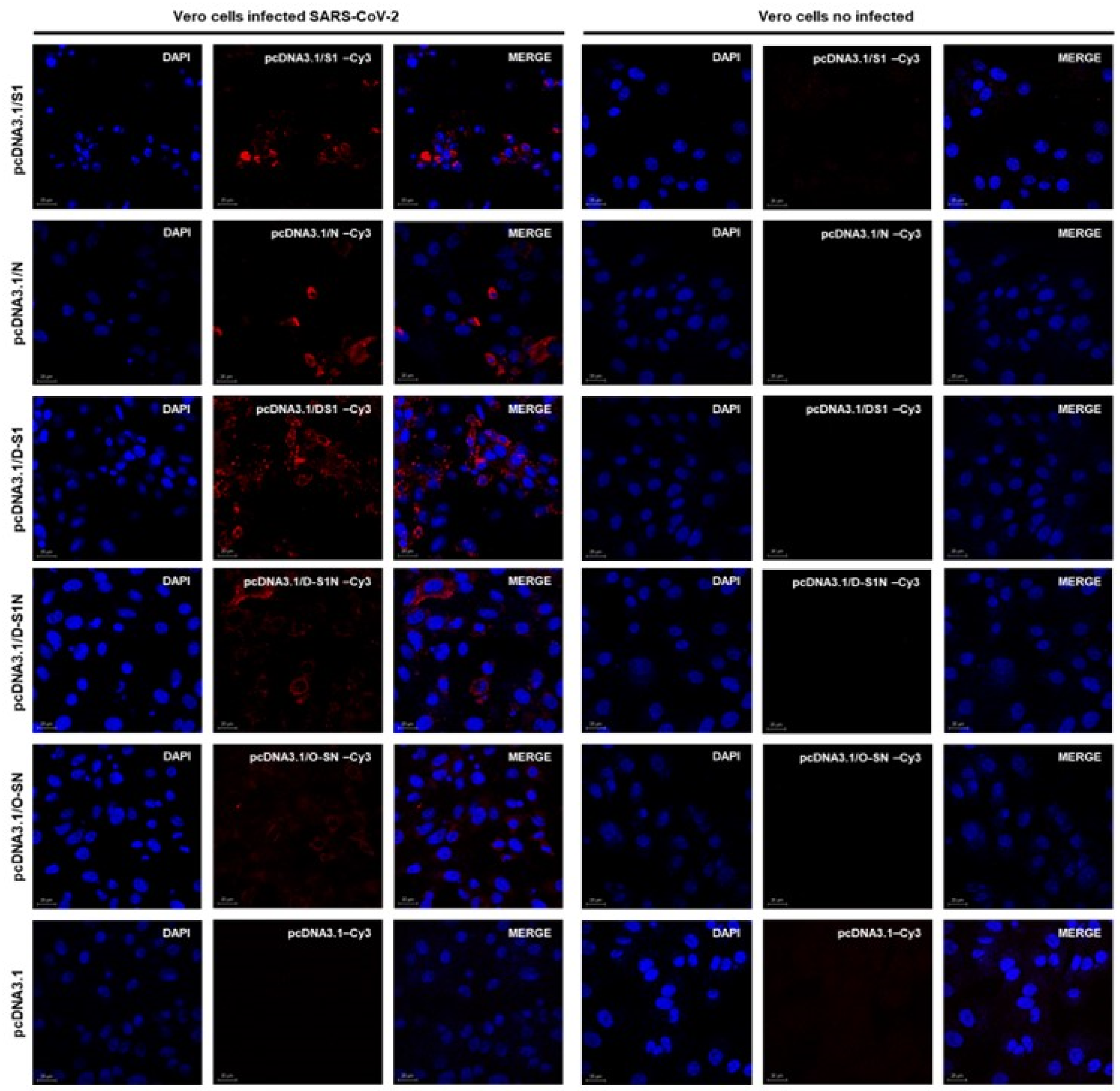 Vaccines 13 00134 g007