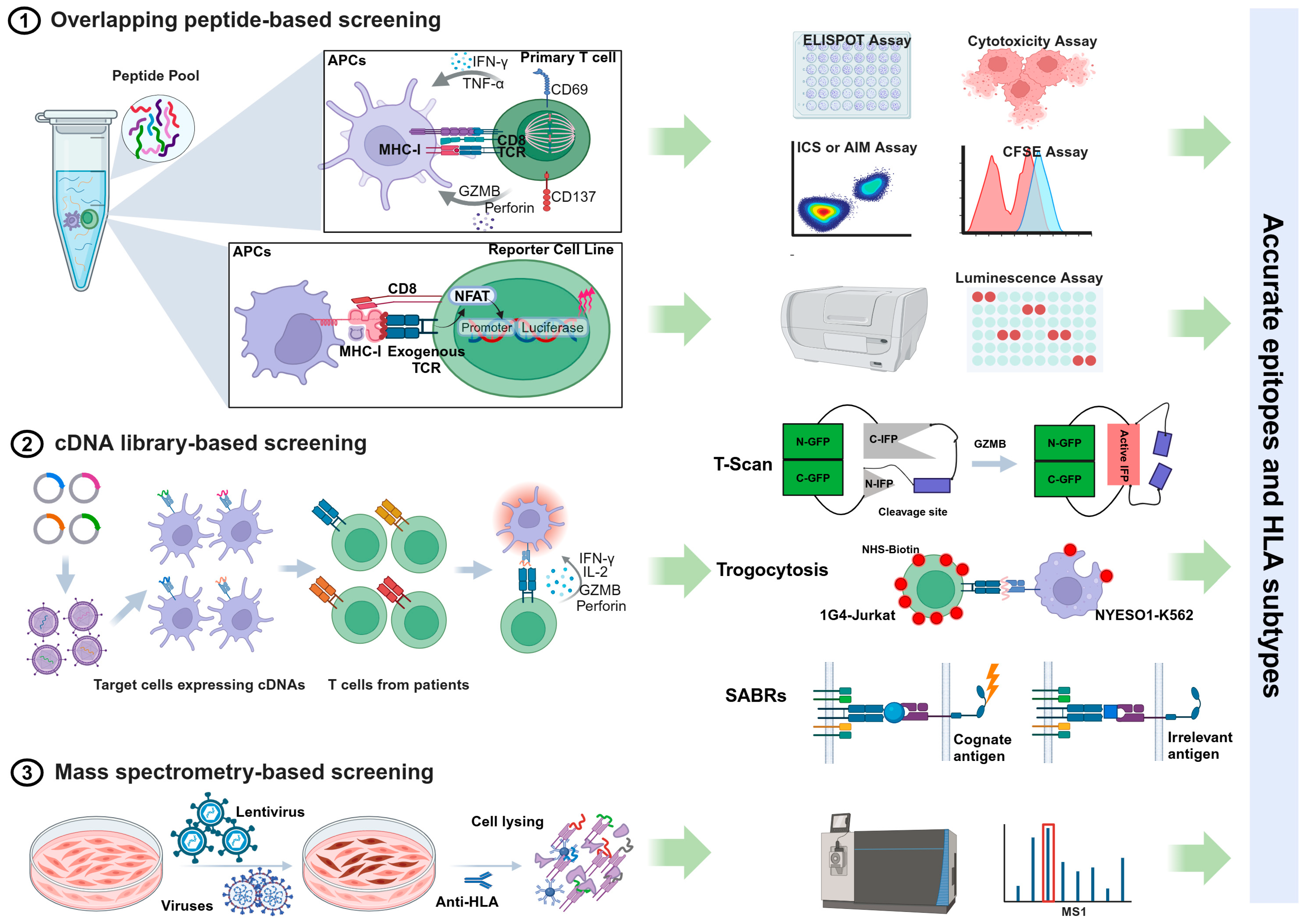 Vaccines 13 00135 g001 Vaccines 13 00135 g001