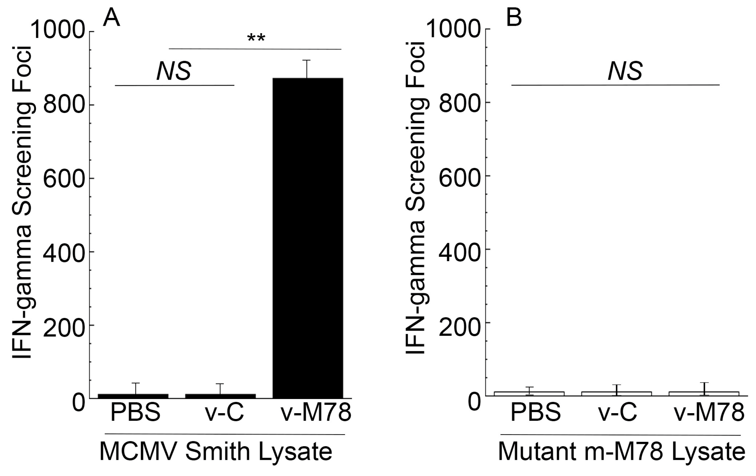 Vaccines 13 00137 g004