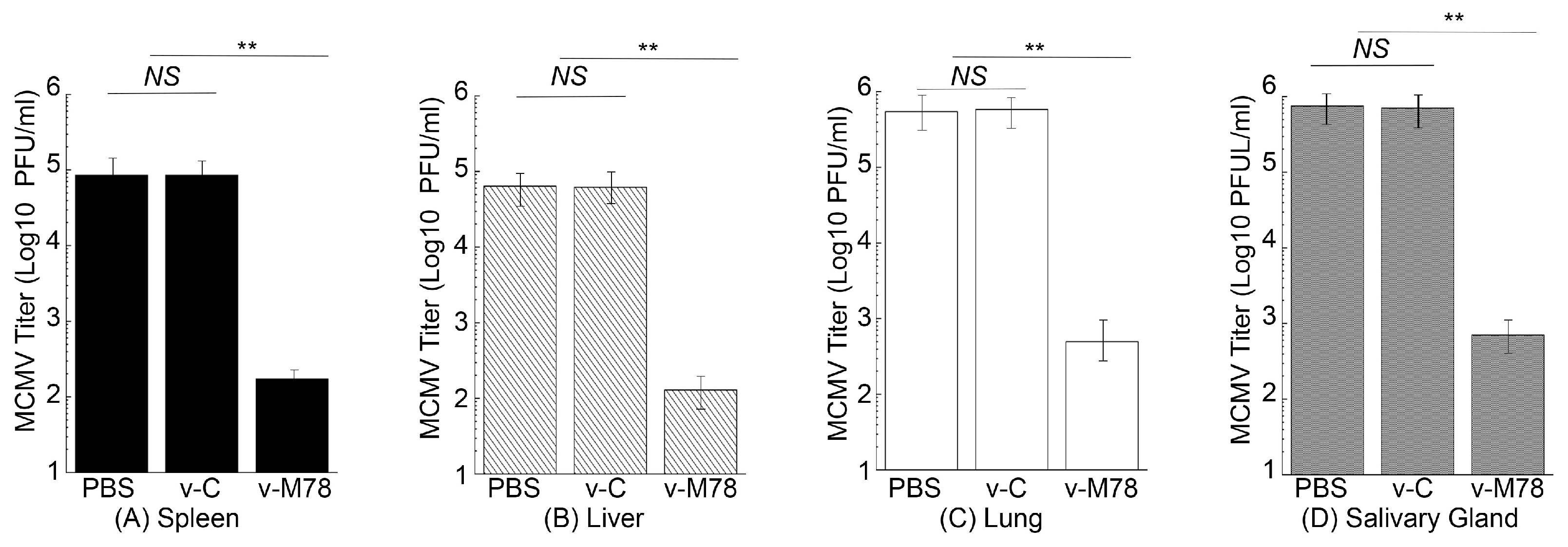 Vaccines 13 00137 g007