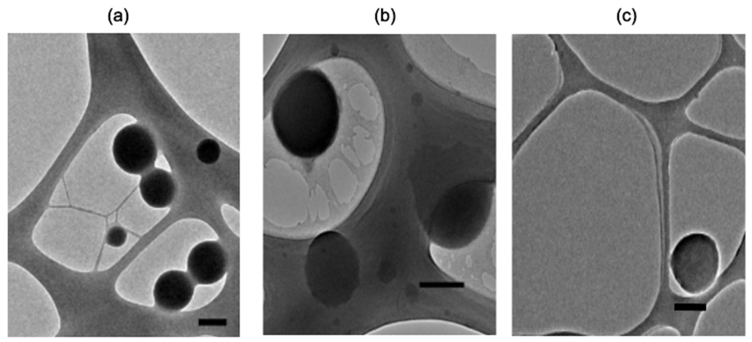 Vaccines 13 00139 g003
