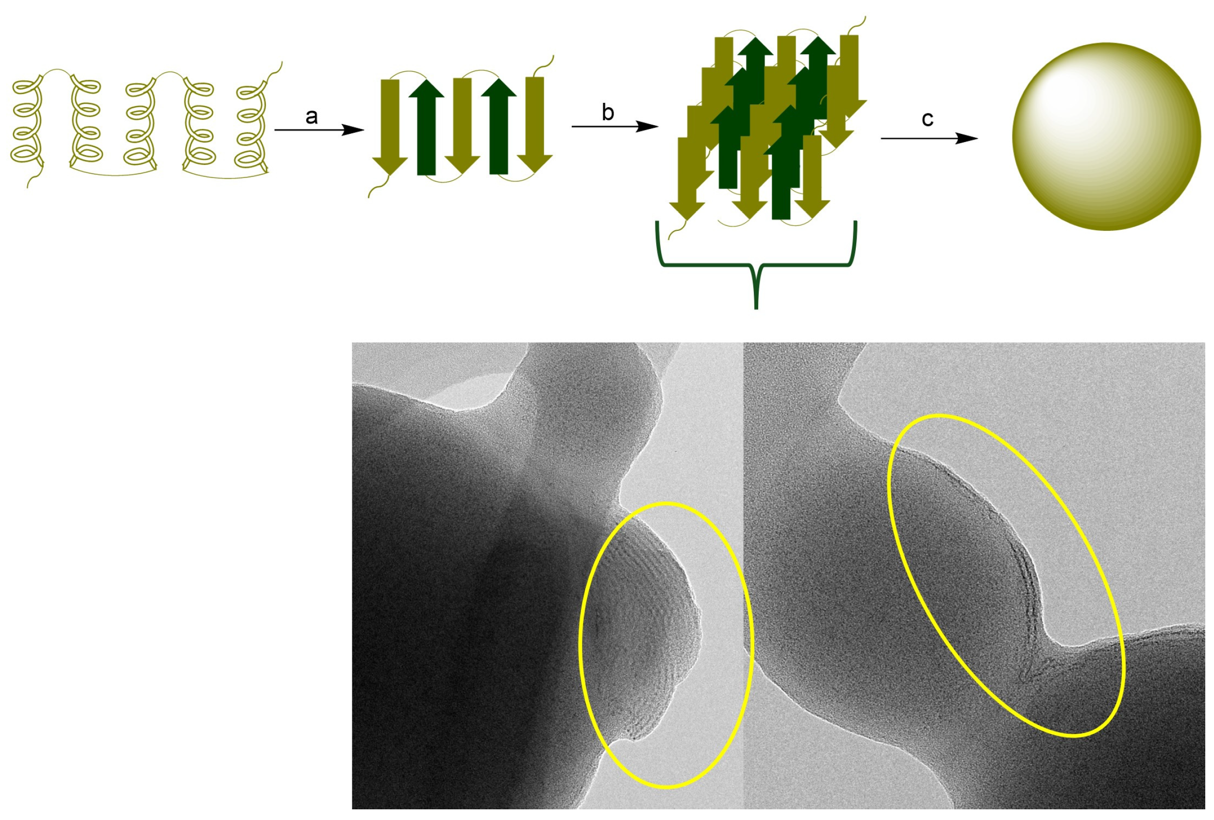 Vaccines 13 00139 g007