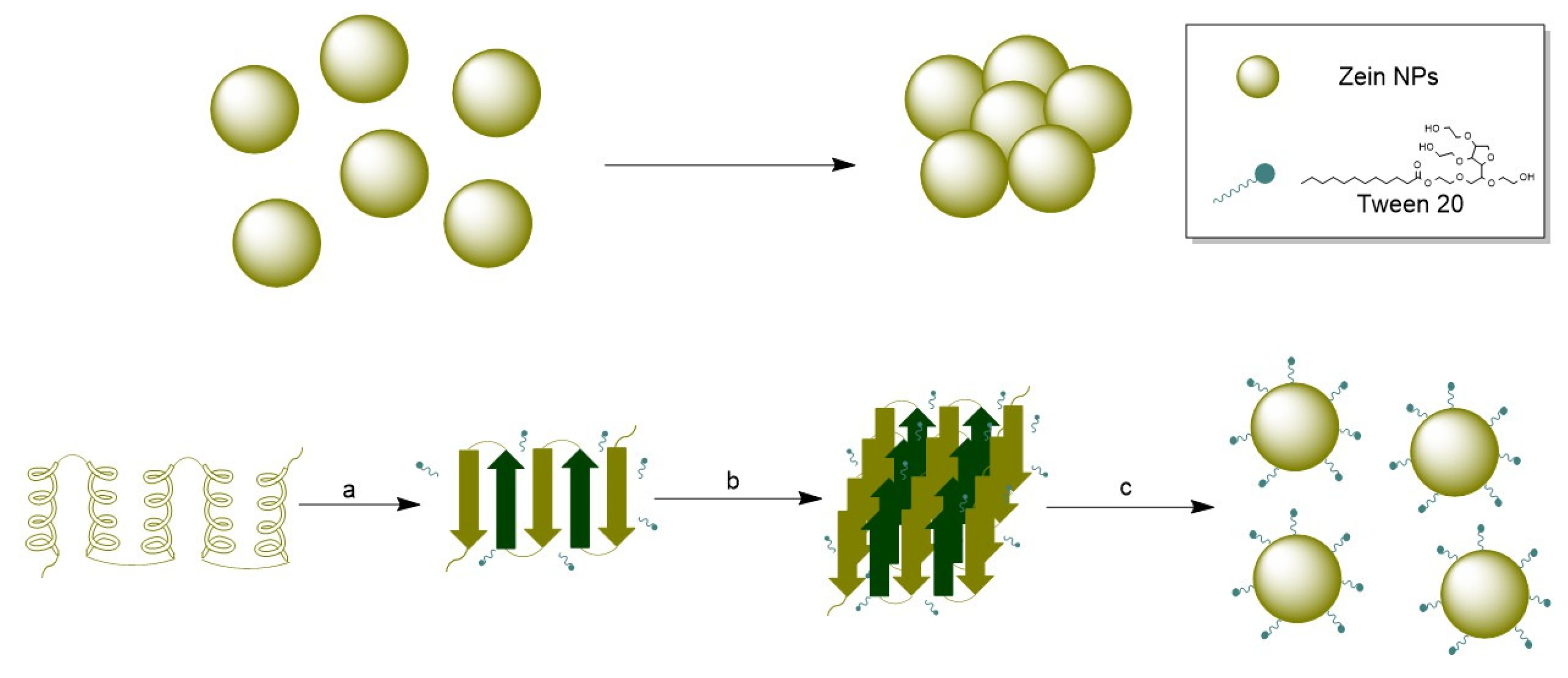 Vaccines 13 00139 g008