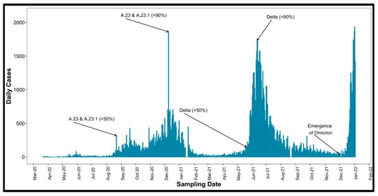 Vaccines 13 00143 g001