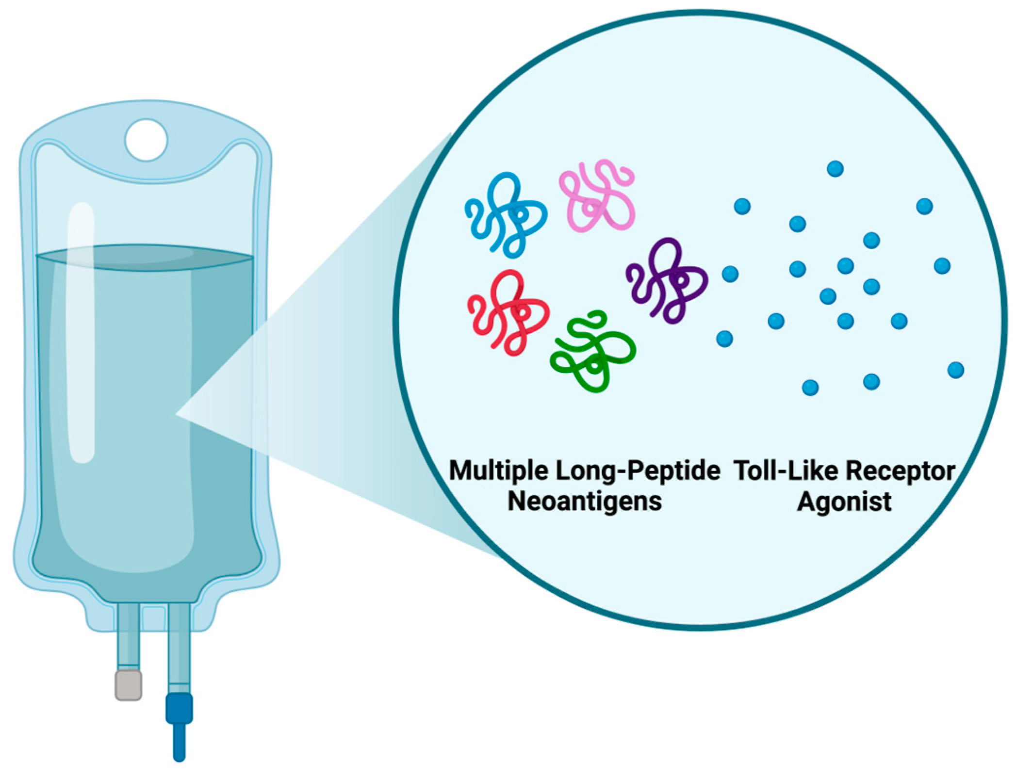 Vaccines 13 00144 g008 Vaccines 13 00144 g008