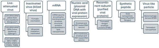 Vaccines 13 00145 g002