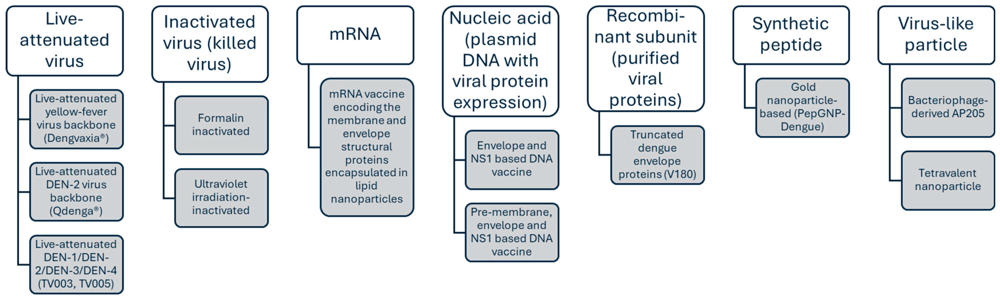 Vaccines 13 00145 g002