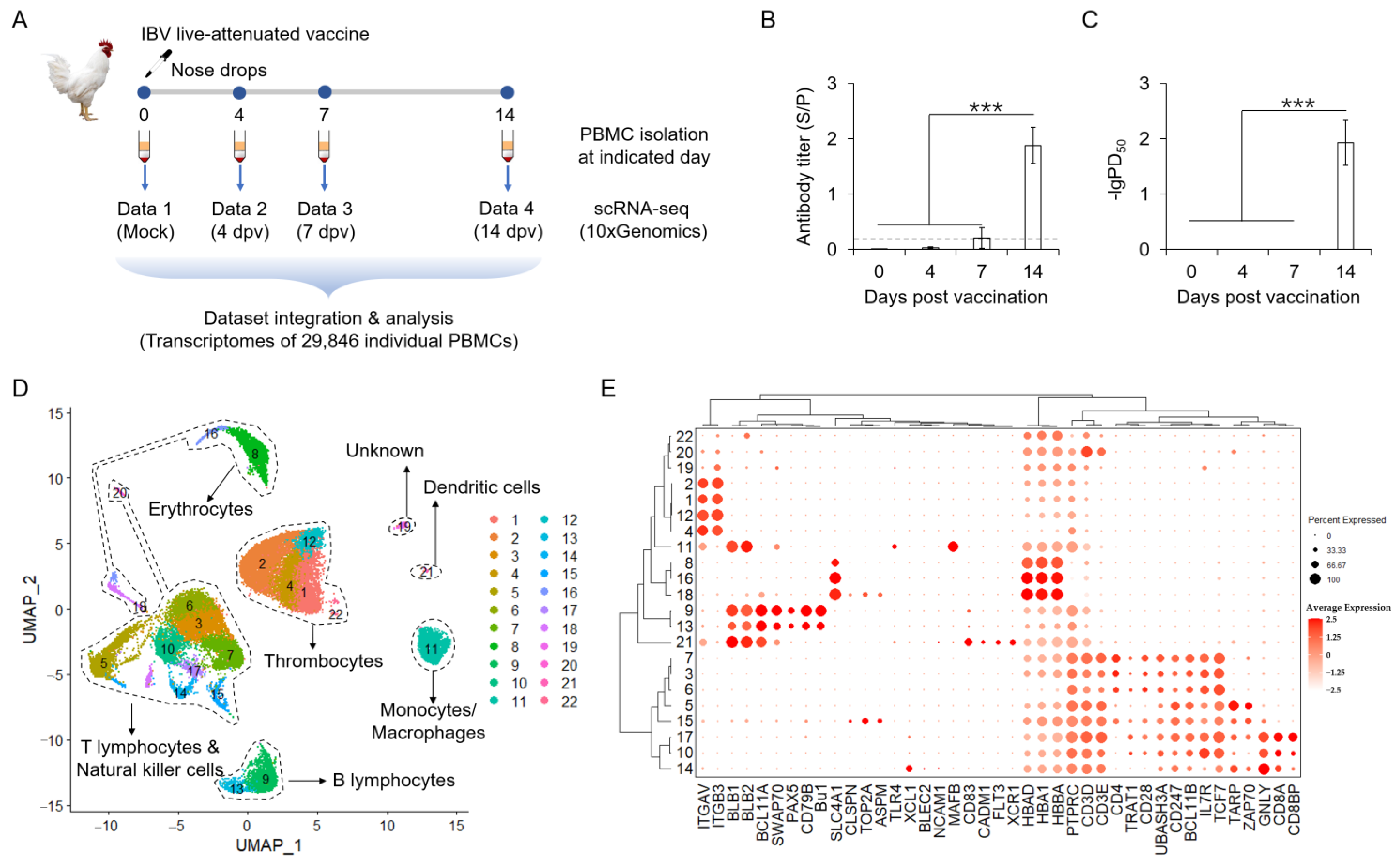 Vaccines 13 00146 g001