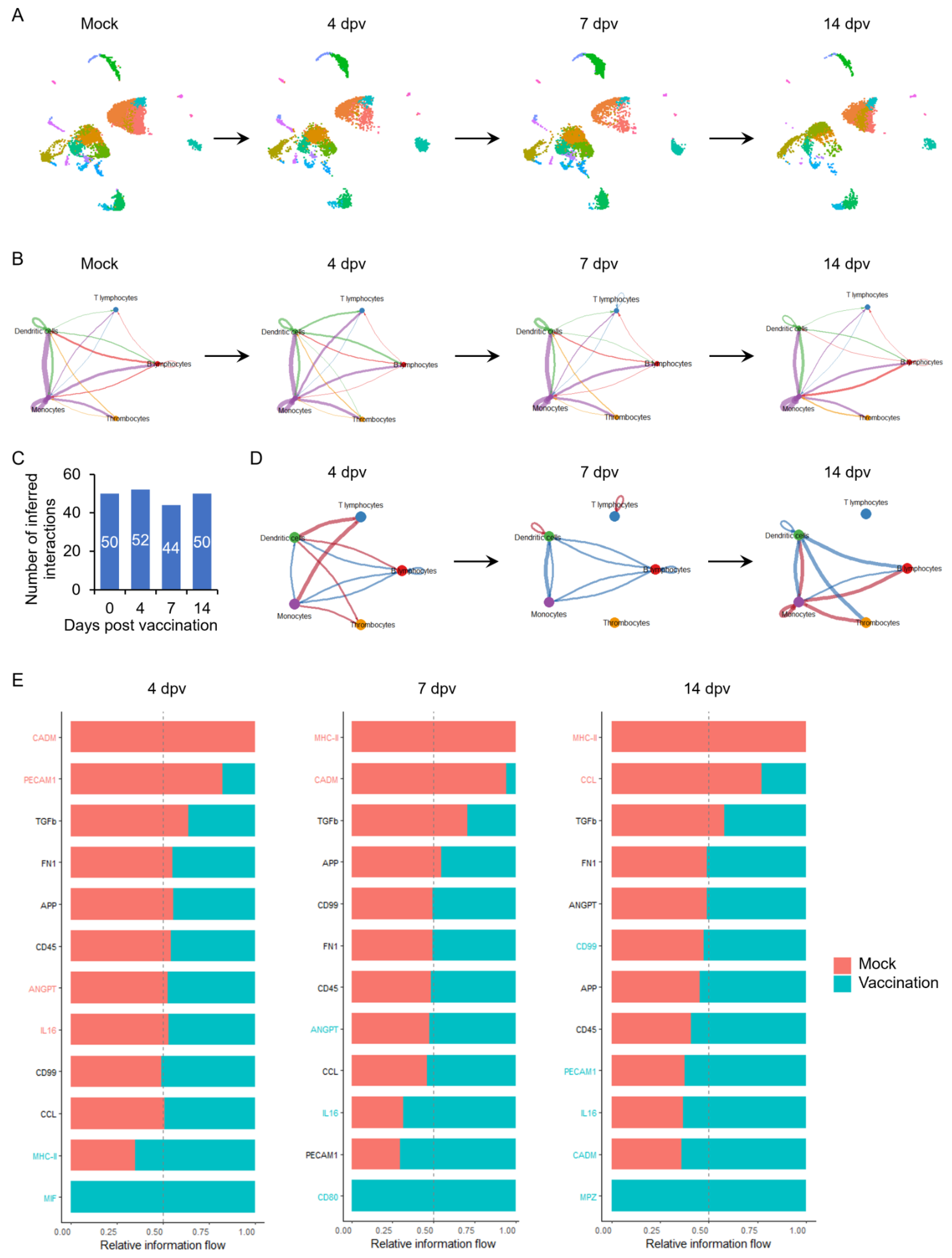 Vaccines 13 00146 g002