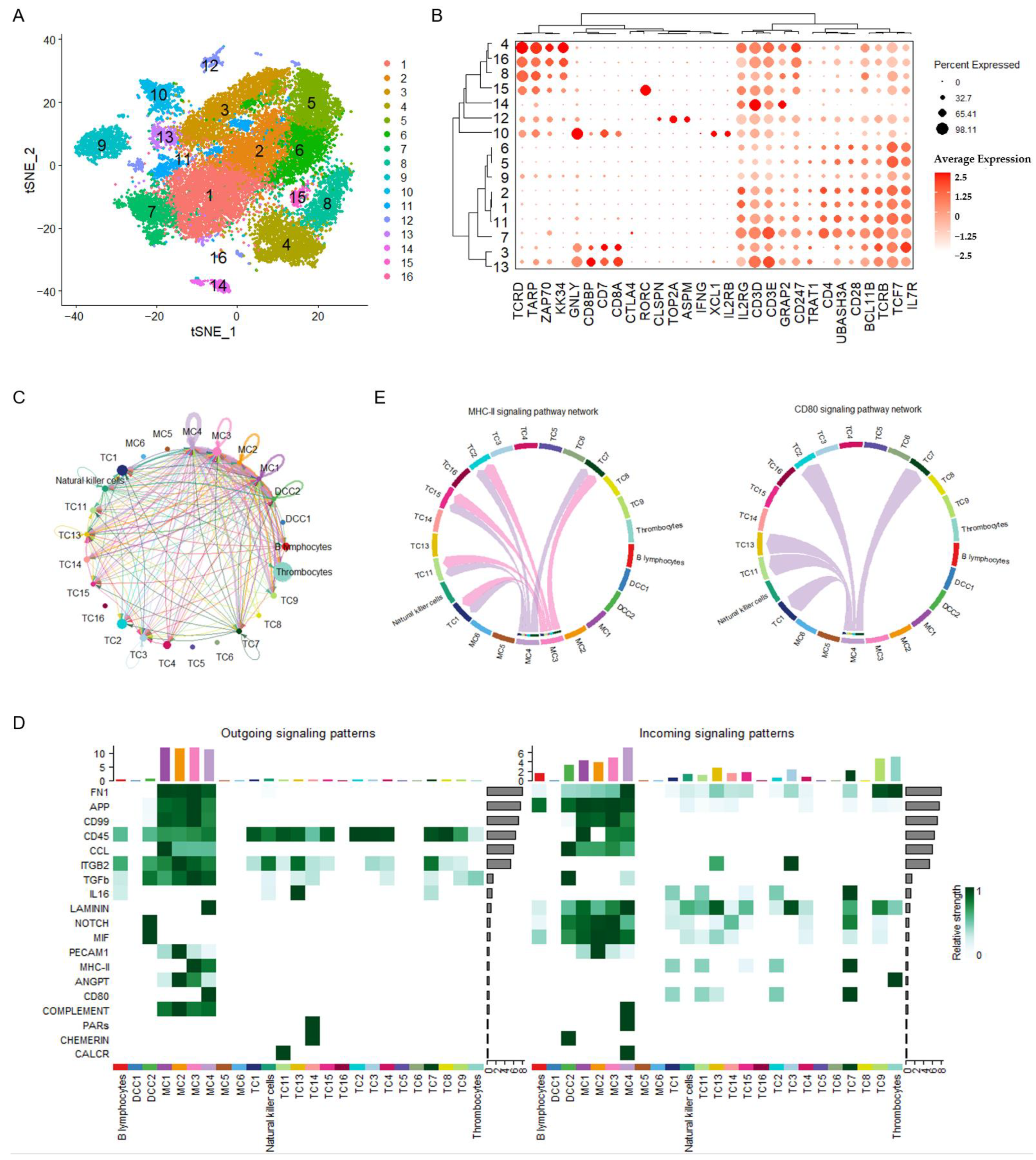 Vaccines 13 00146 g006