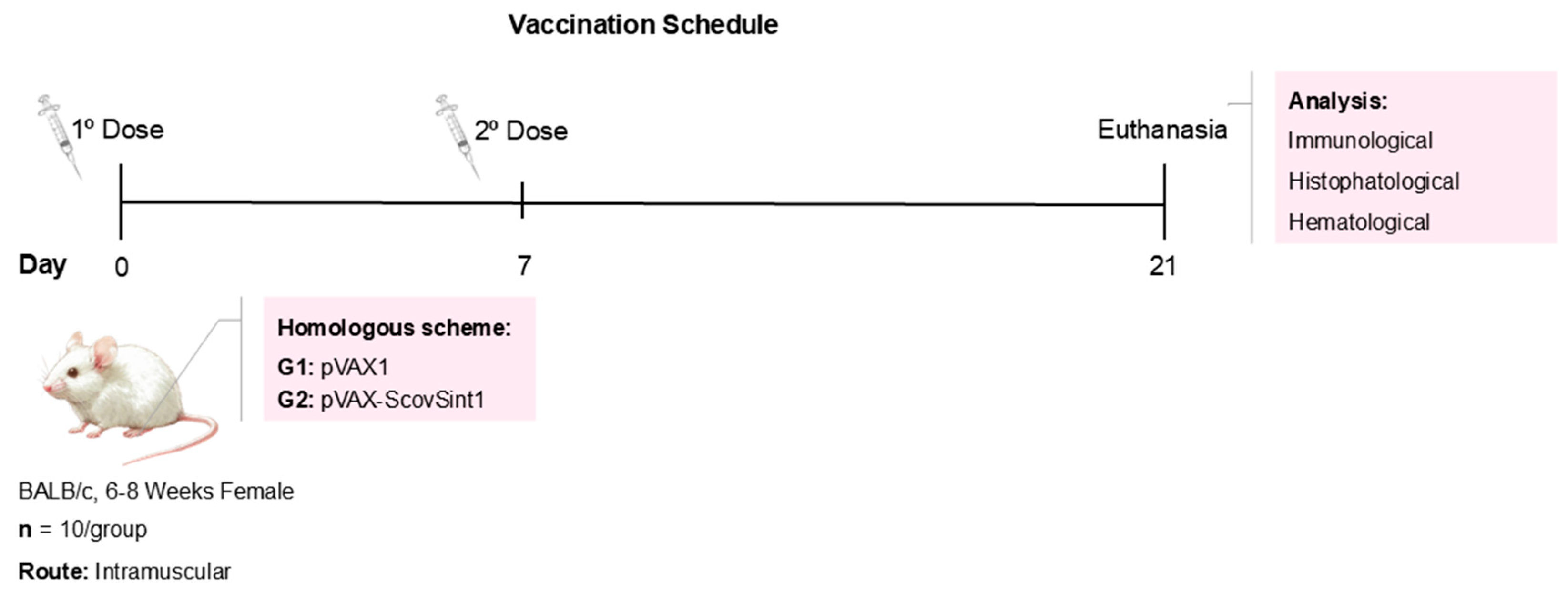 Vaccines 13 00149 g001