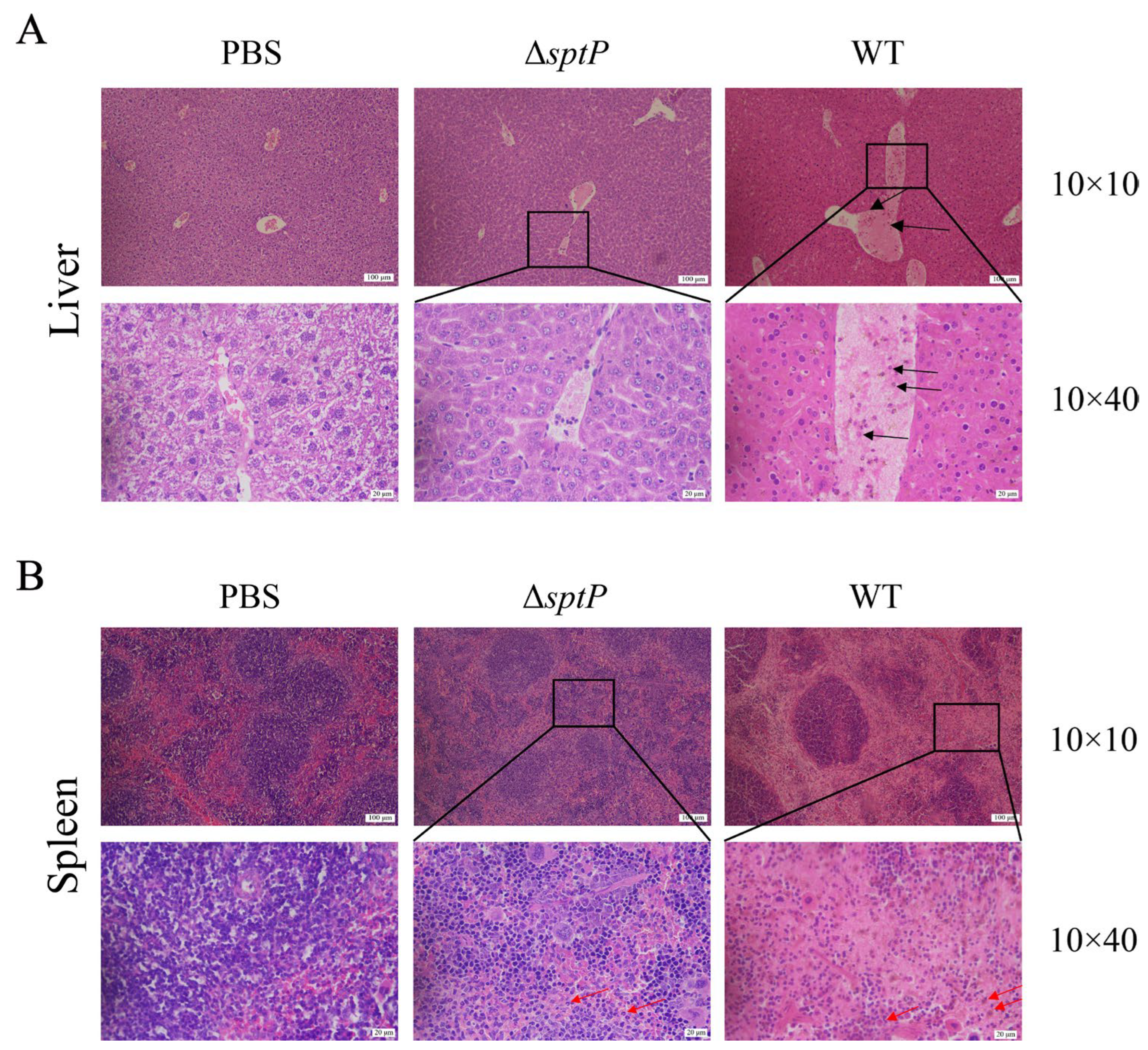Vaccines 13 00150 g003