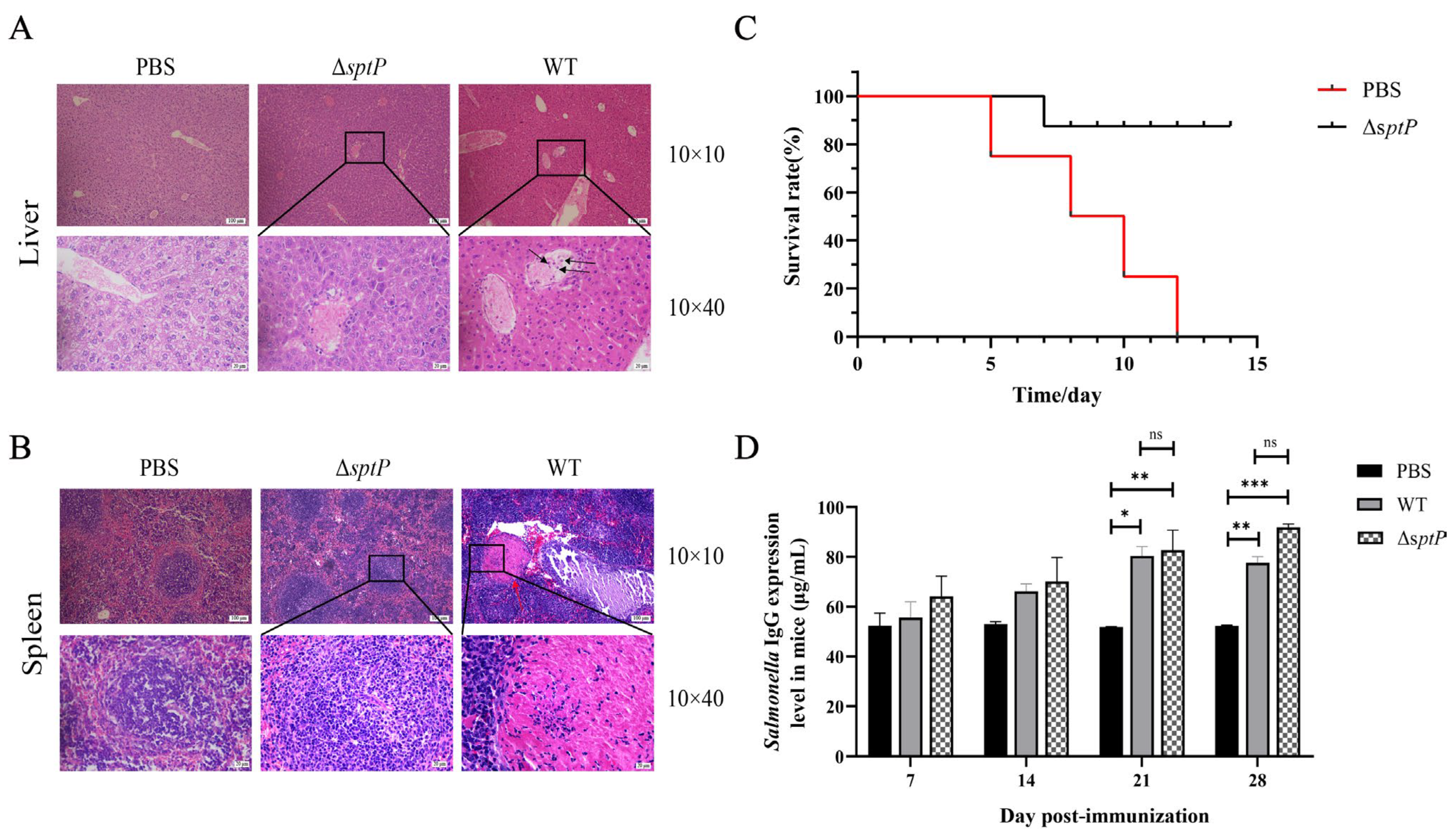 Vaccines 13 00150 g005