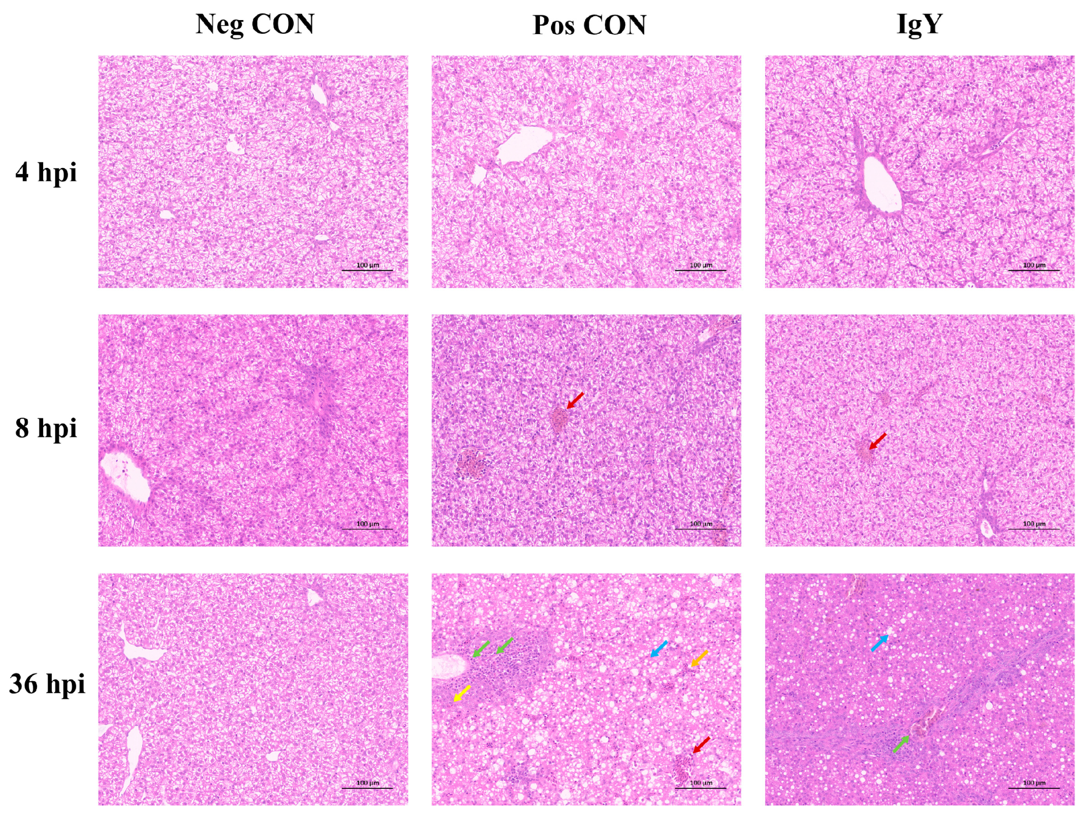 Vaccines 13 00154 g003