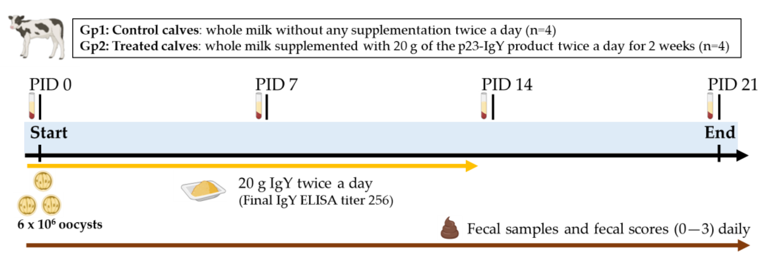 Vaccines 13 00162 g001