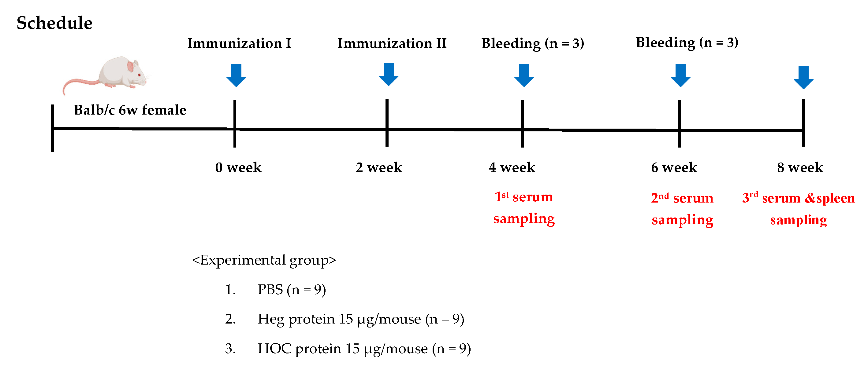 Vaccines 13 00168 g001