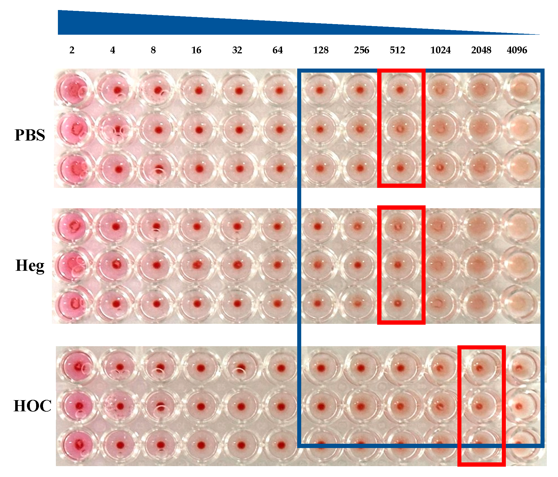 Vaccines 13 00168 g003