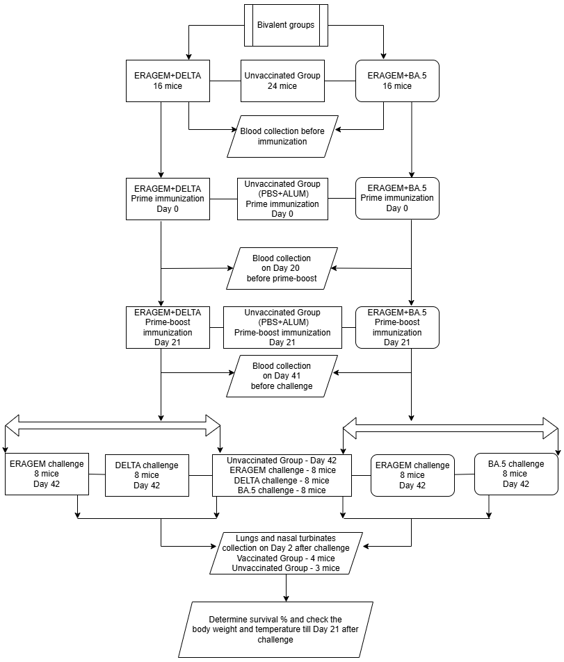 Vaccines 13 00169 g001