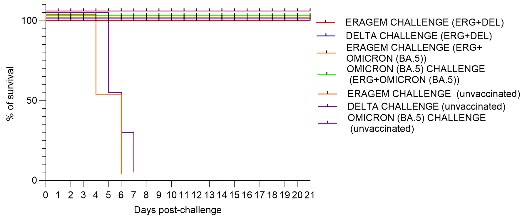 Vaccines 13 00169 g002