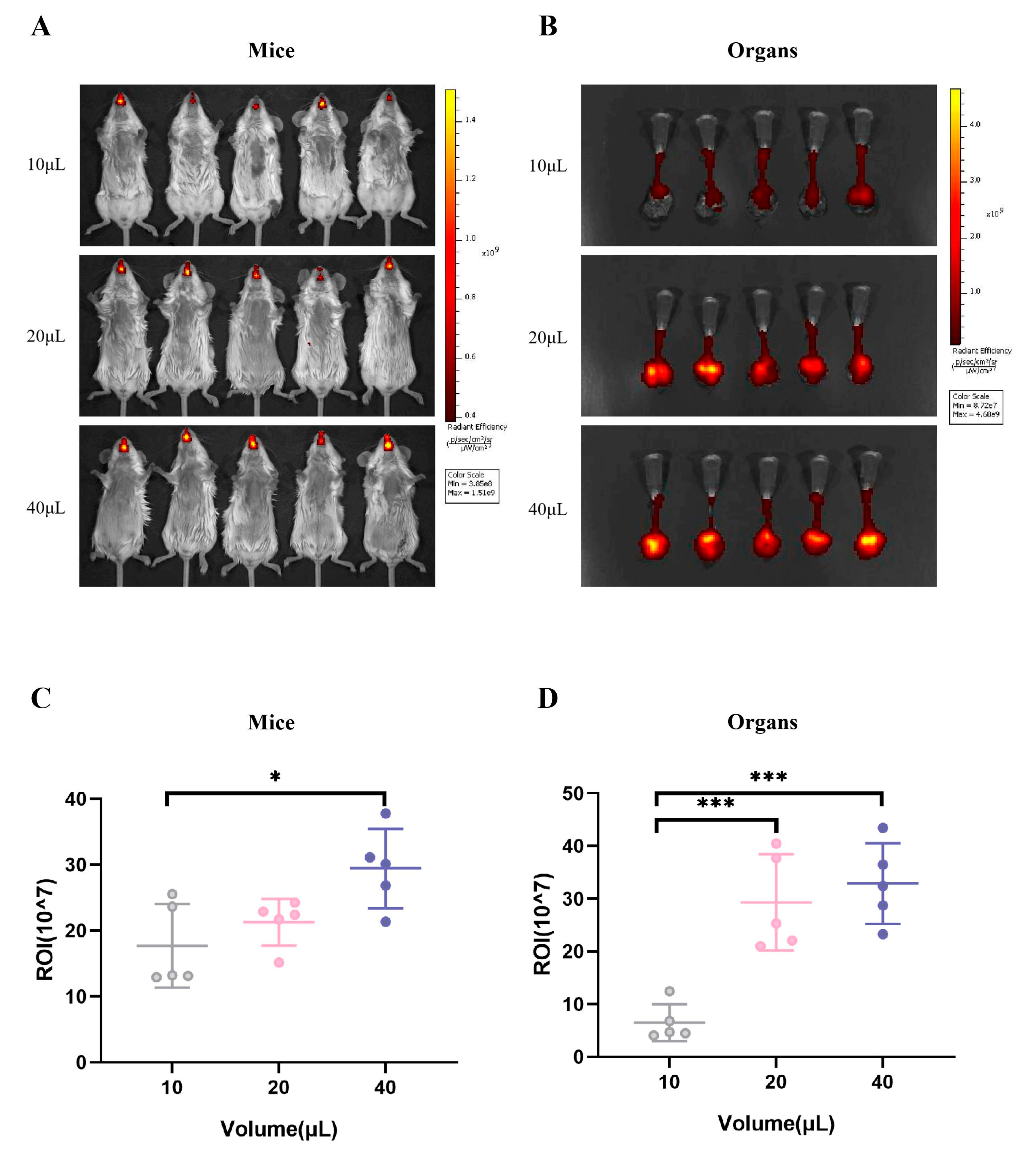 Vaccines 13 00173 g004