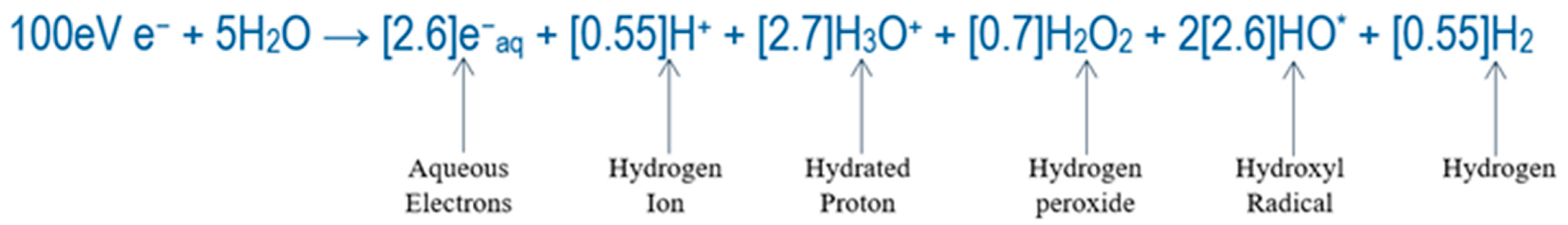 Vaccines 13 00179 g002