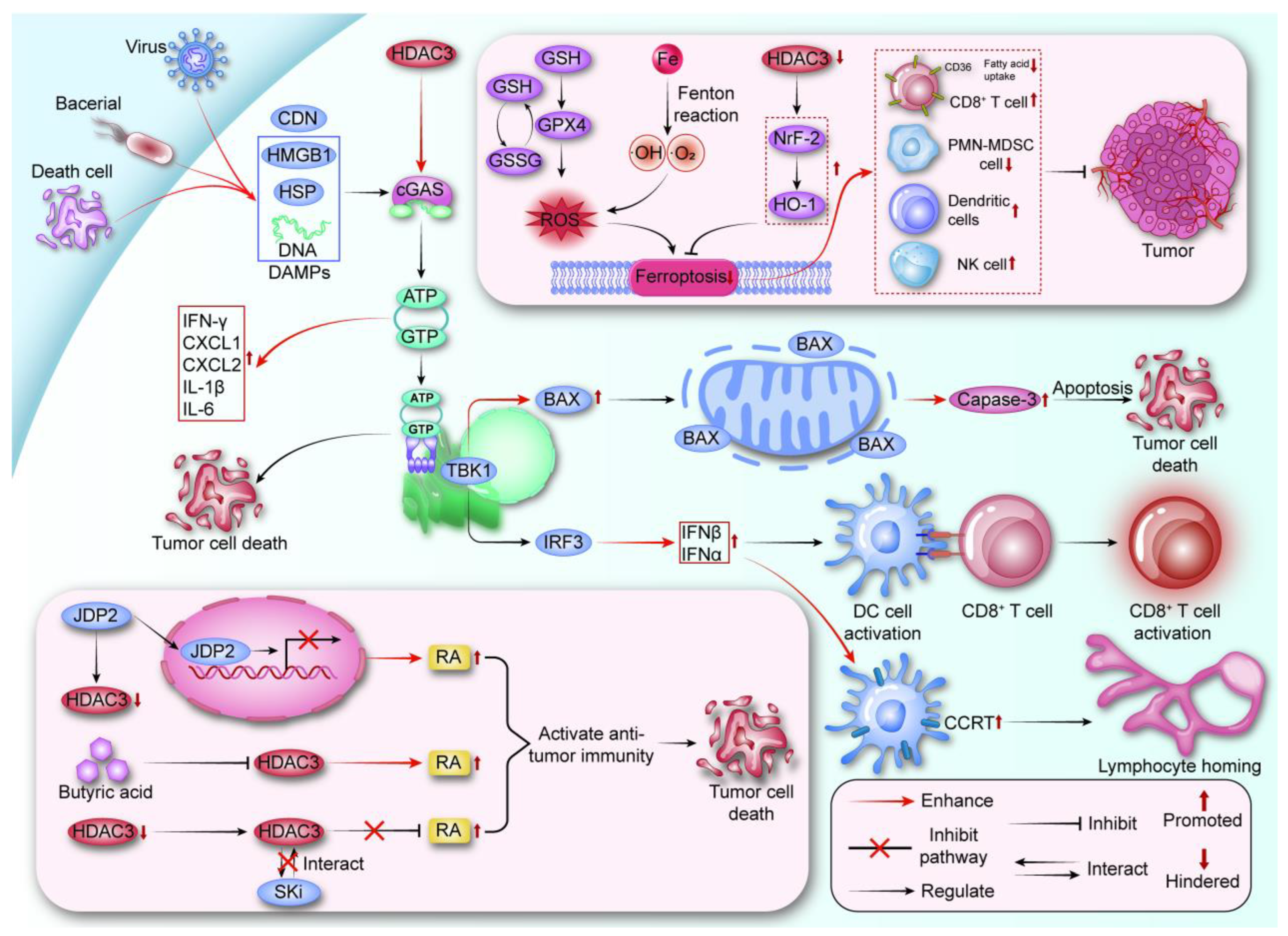 Vaccines 13 00182 g002