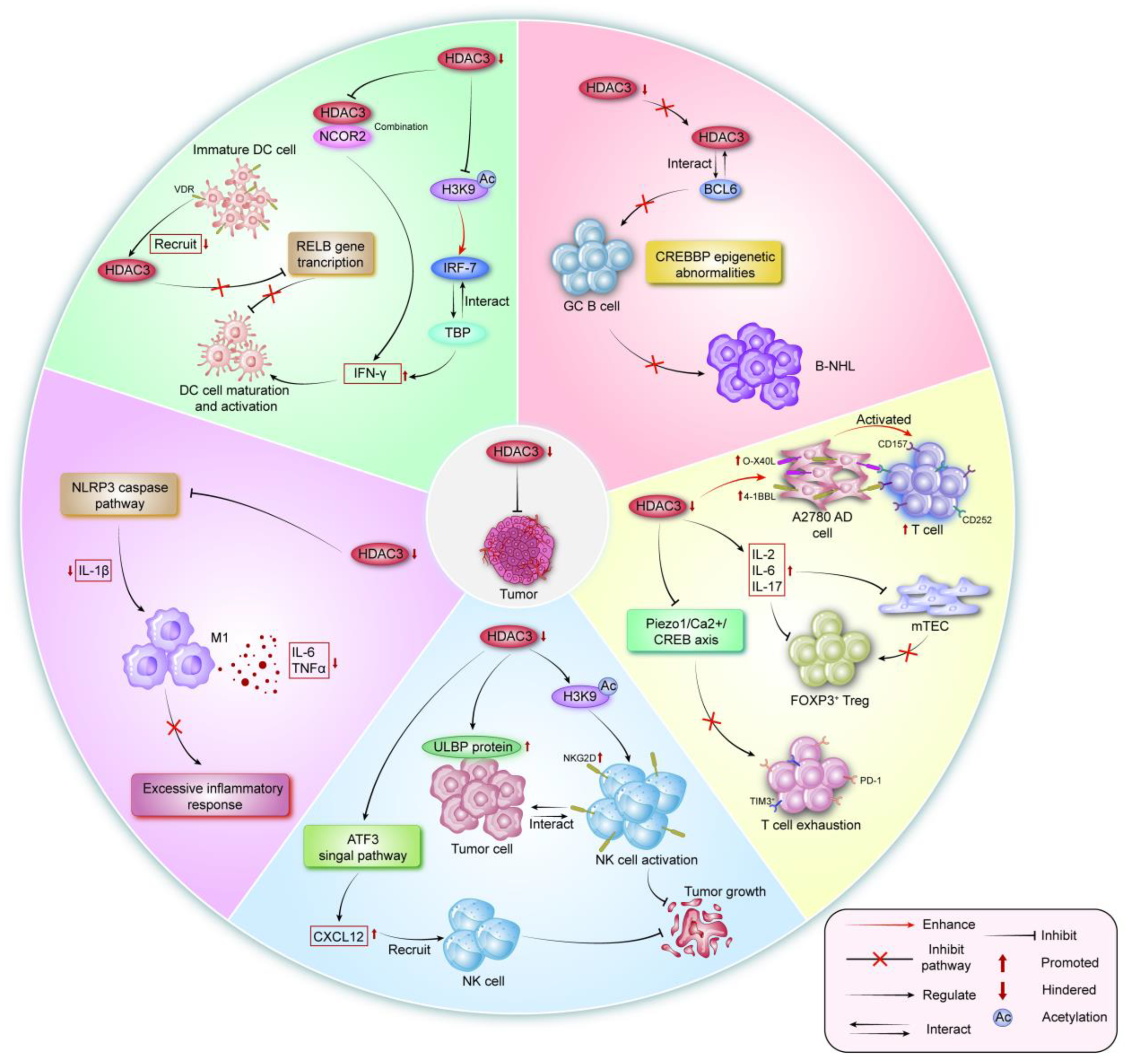 Vaccines 13 00182 g004