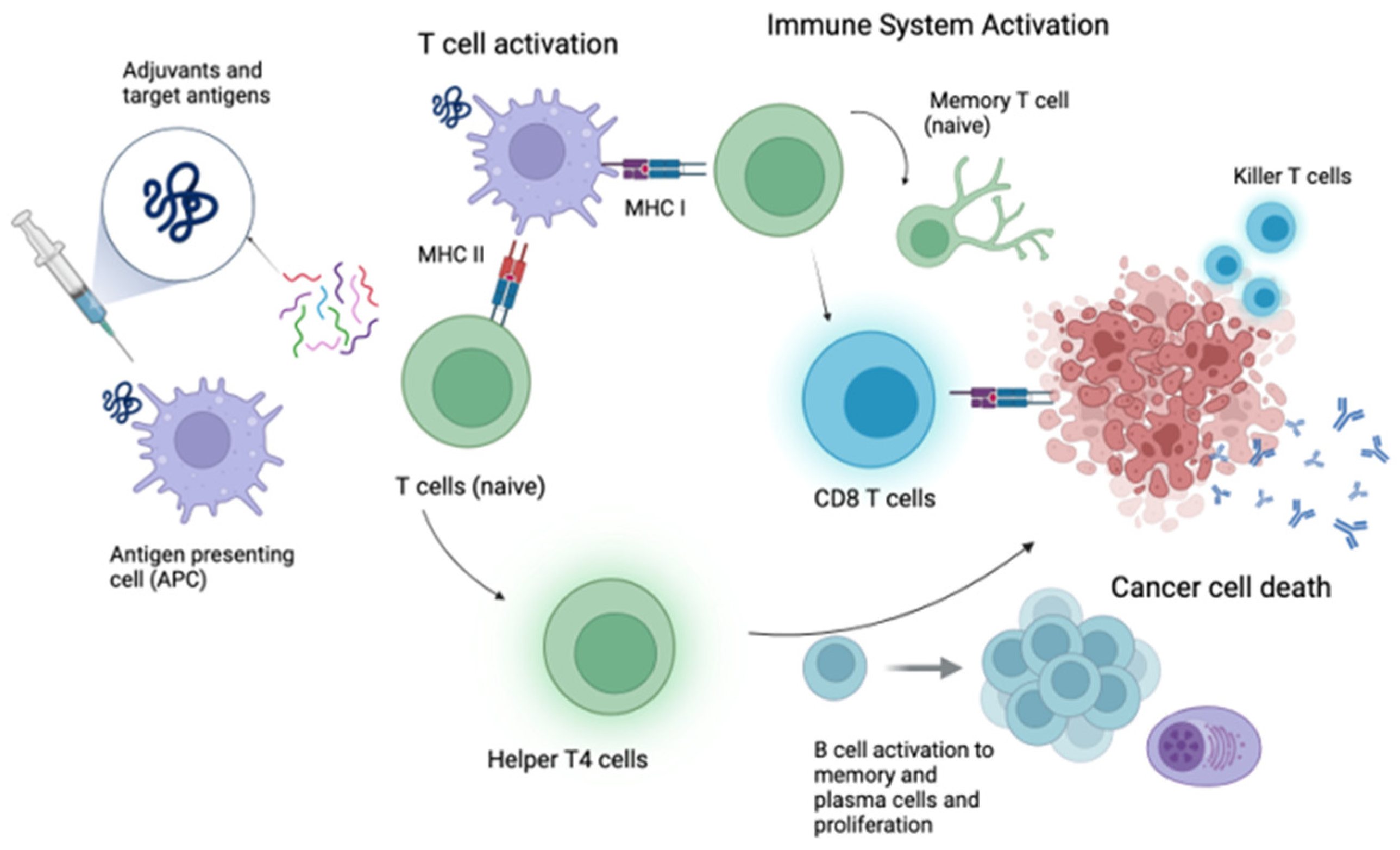 Vaccines 13 00185 g001