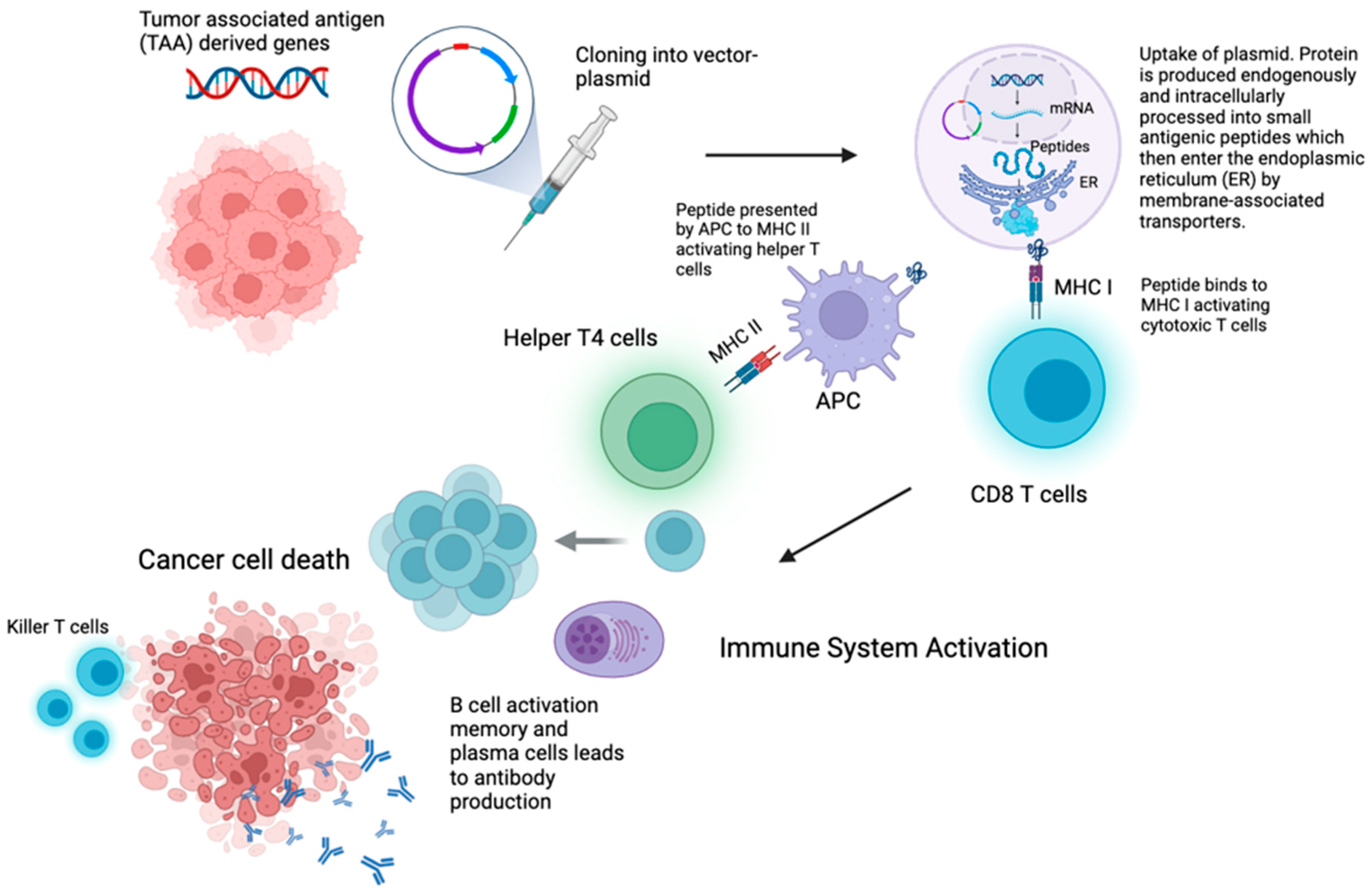 Vaccines 13 00185 g002