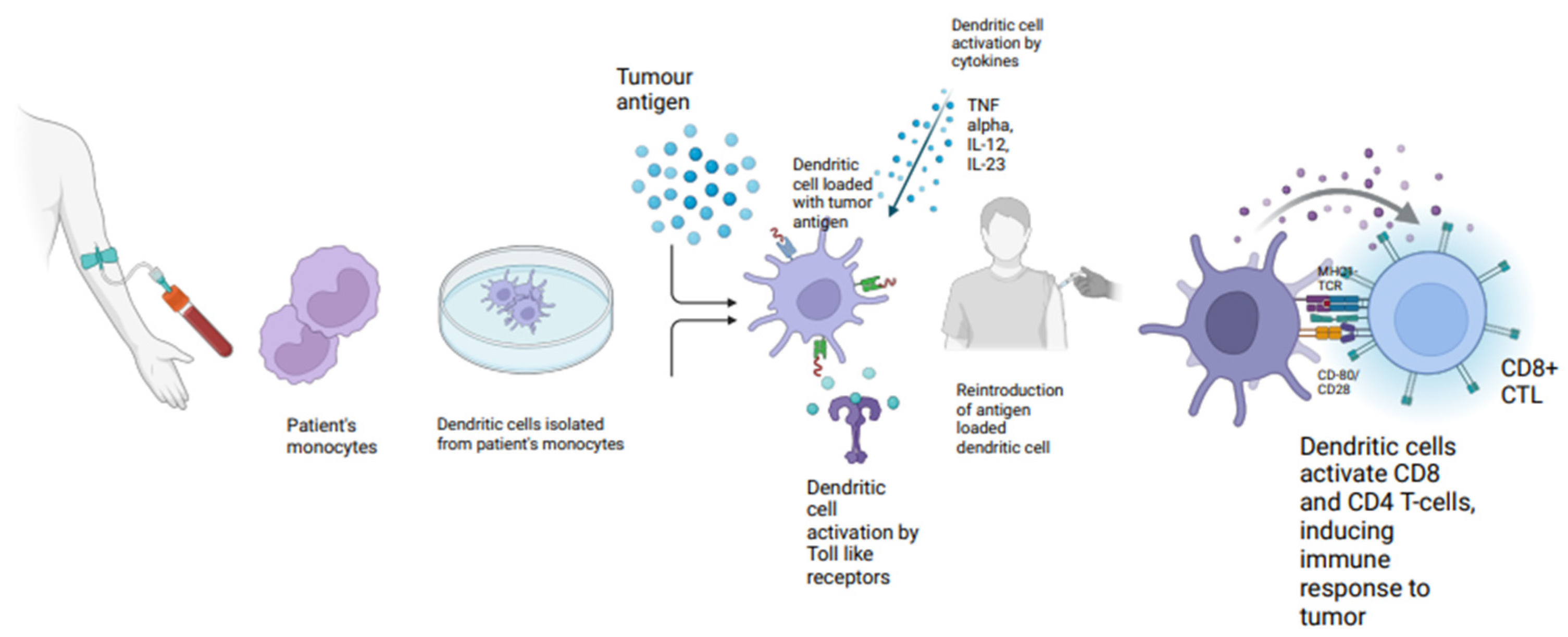 Vaccines 13 00185 g004
