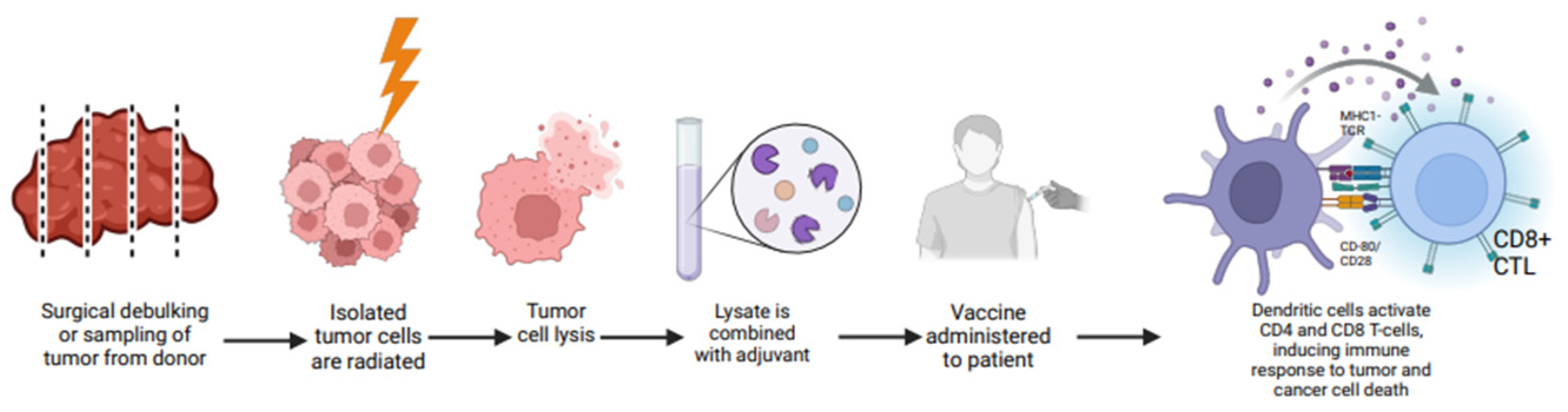 Vaccines 13 00185 g005