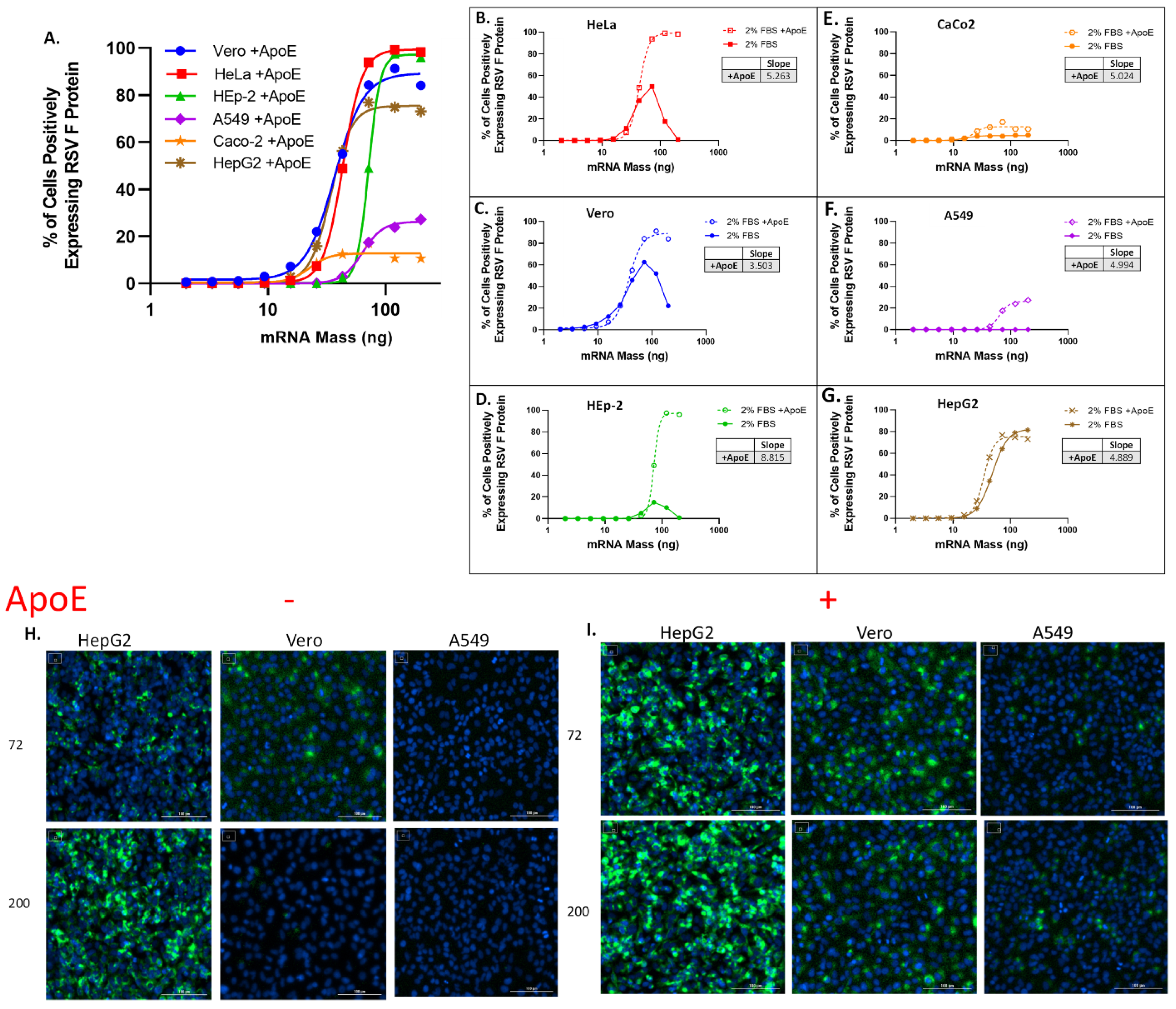 Vaccines 13 00186 g001
