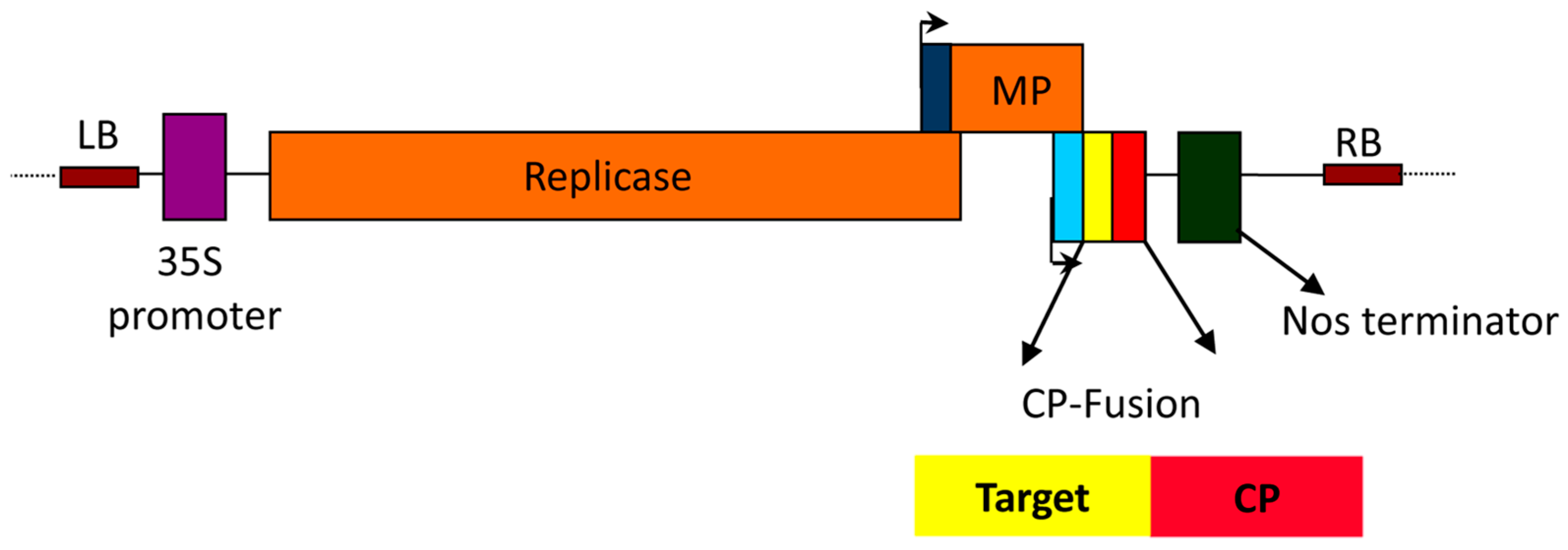 Vaccines 13 00191 g001