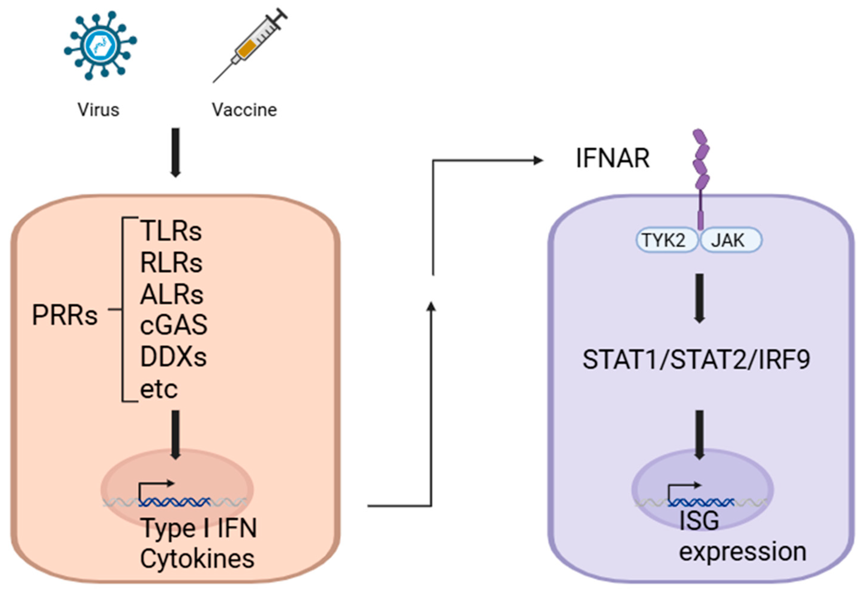 Vaccines 13 00193 g001