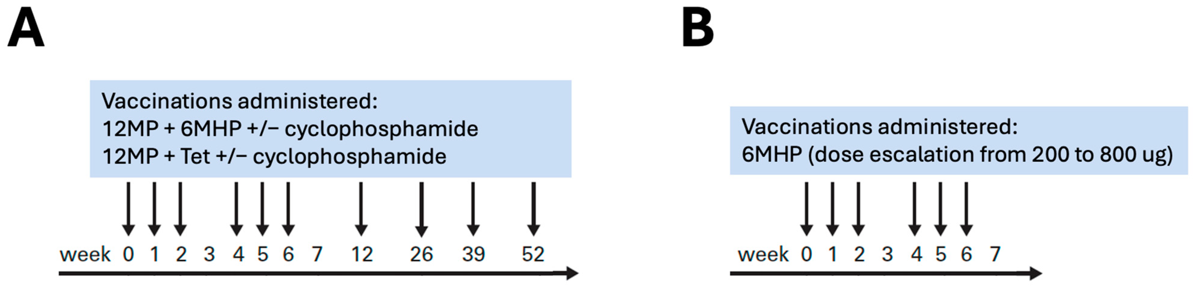 Vaccines 13 00194 g001