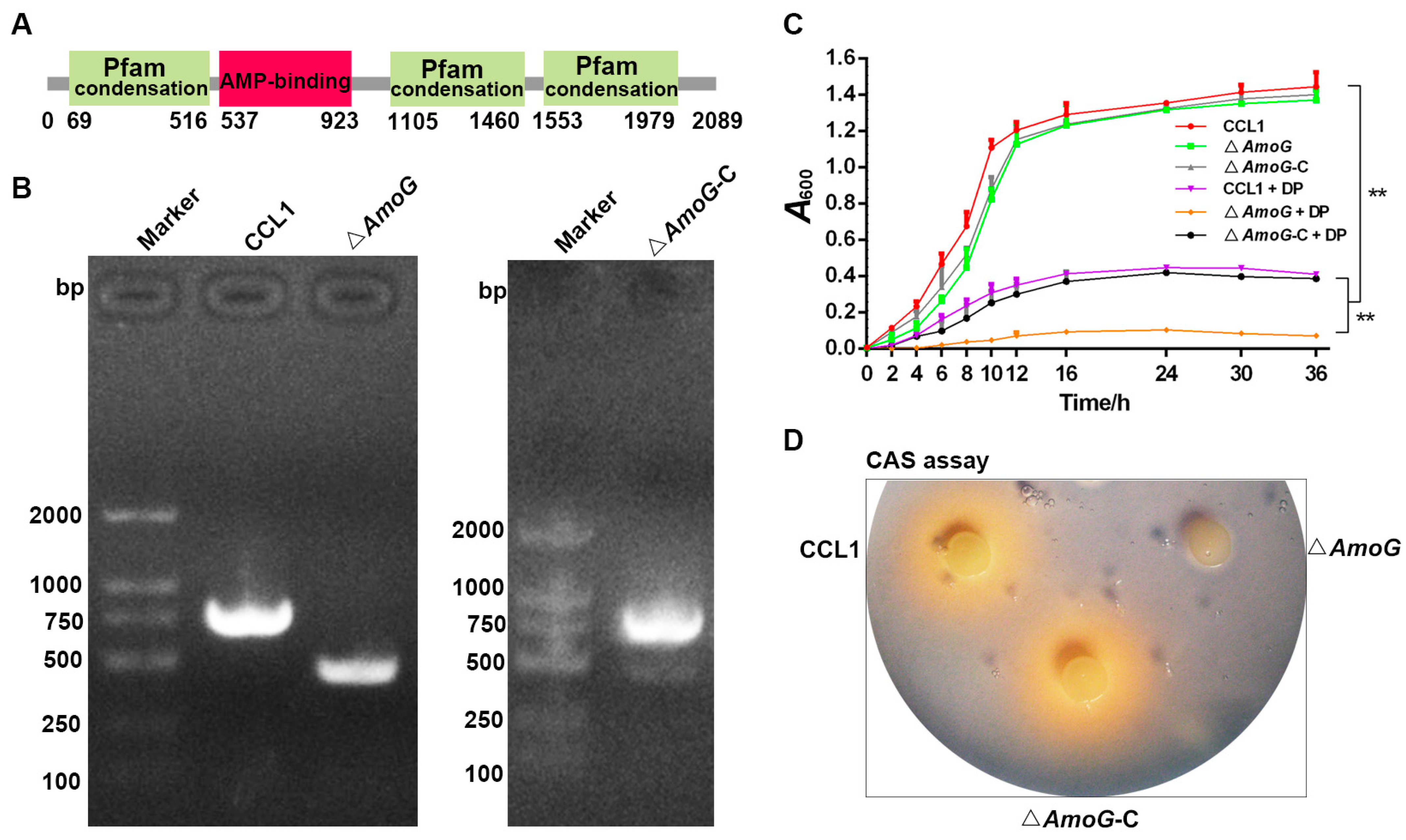 Vaccines 13 00195 g001