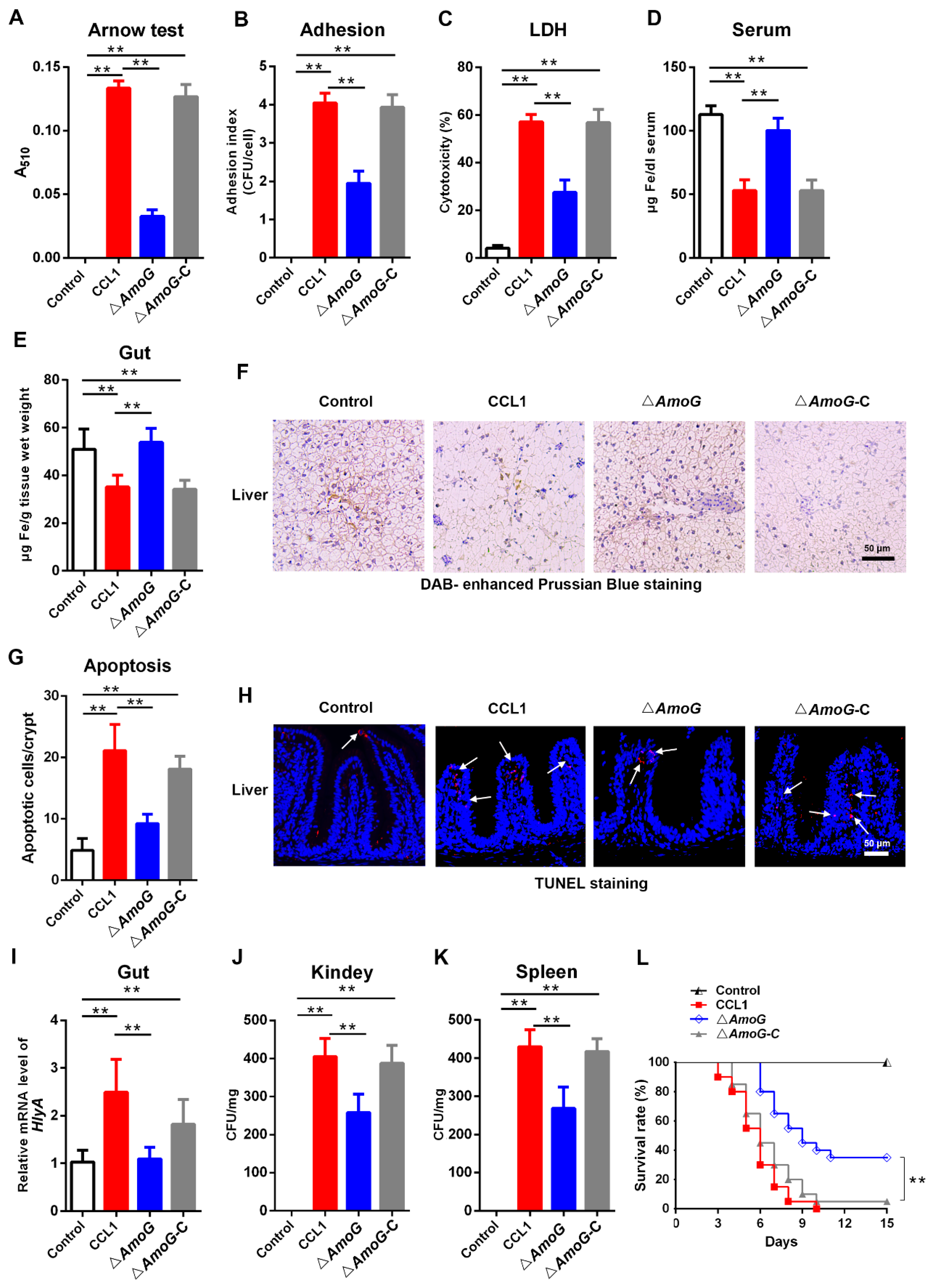 Vaccines 13 00195 g002