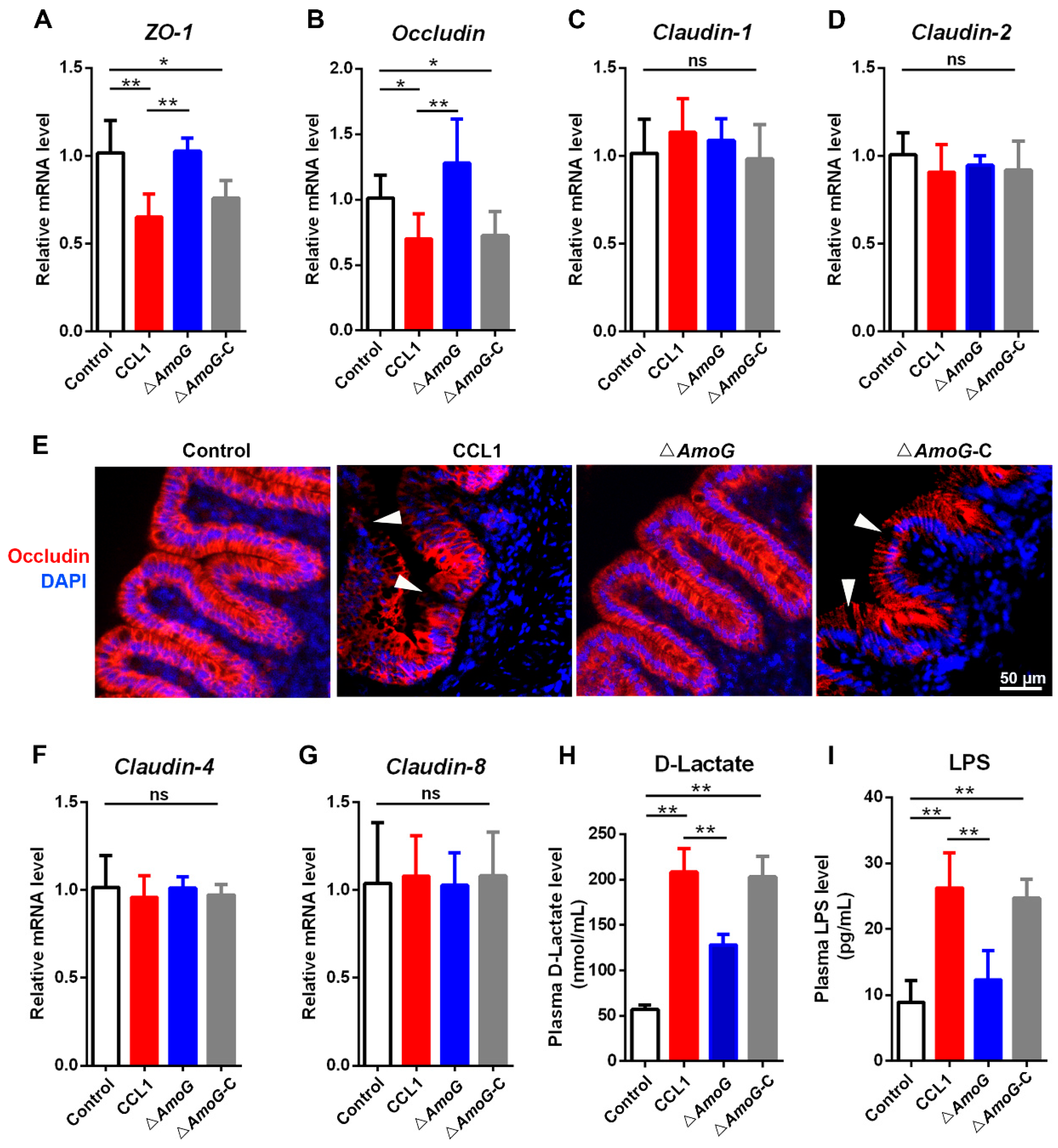 Vaccines 13 00195 g005