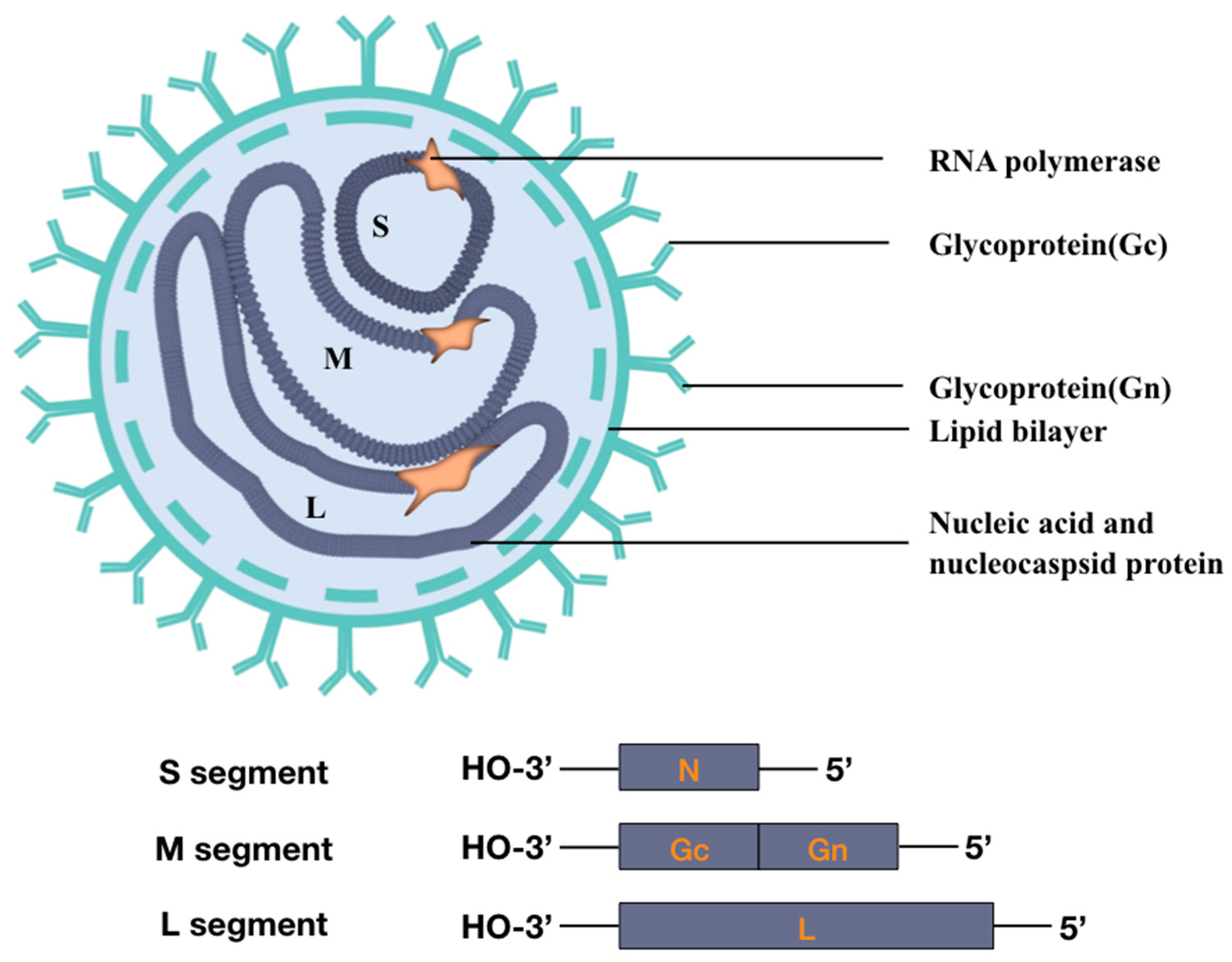 Vaccines 13 00198 g002