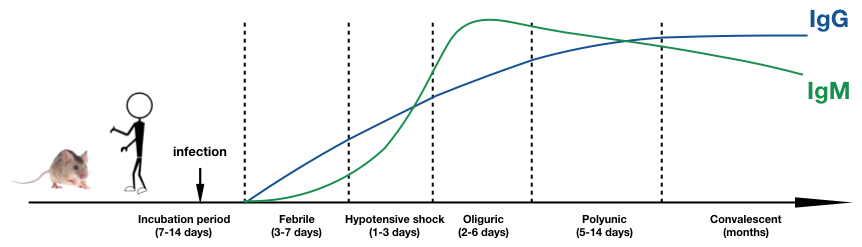 Vaccines 13 00198 g003
